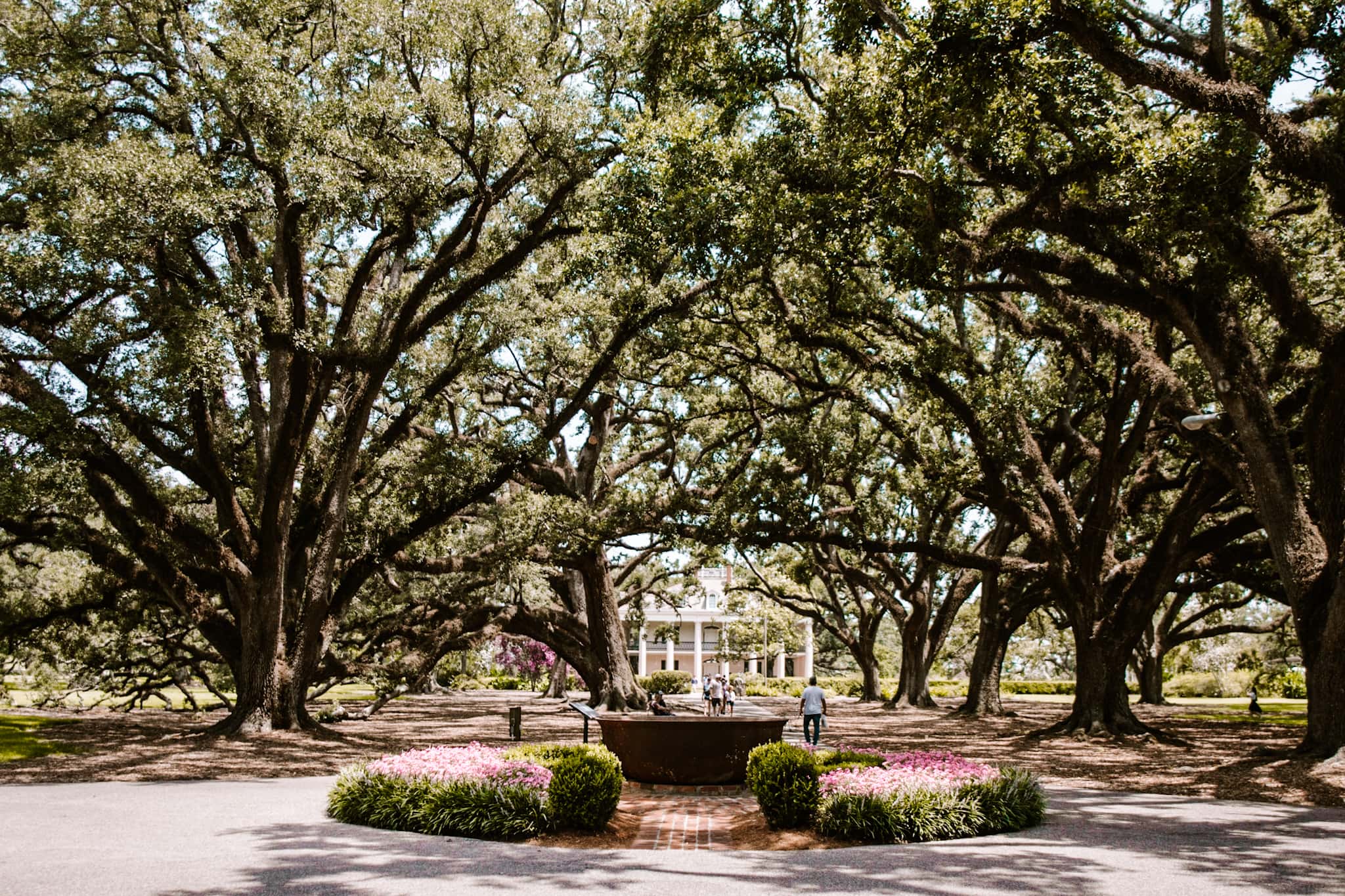 oak alley plantation new orleans louisiana usa united states of america