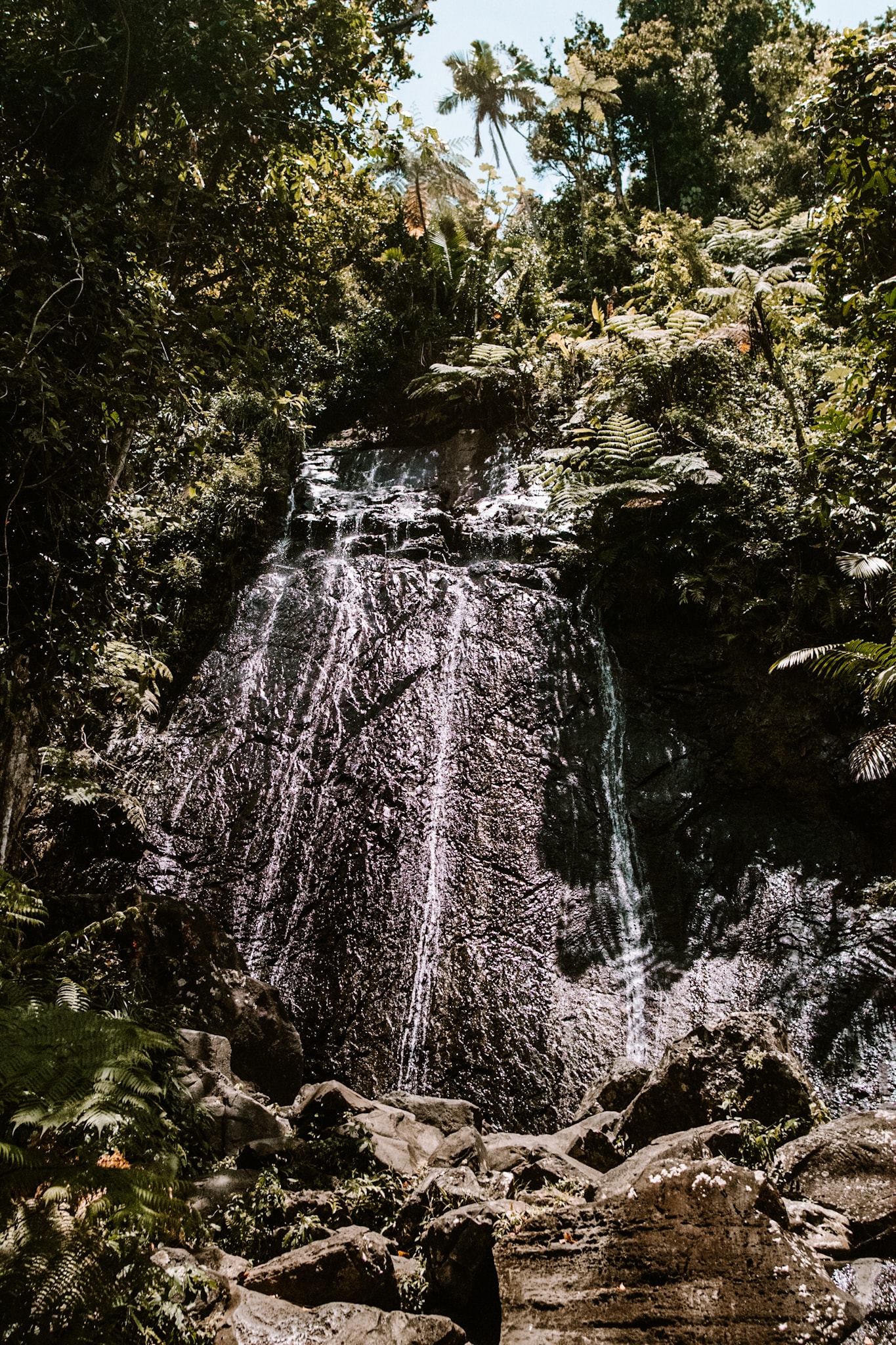 puerto rico el yunque national forest