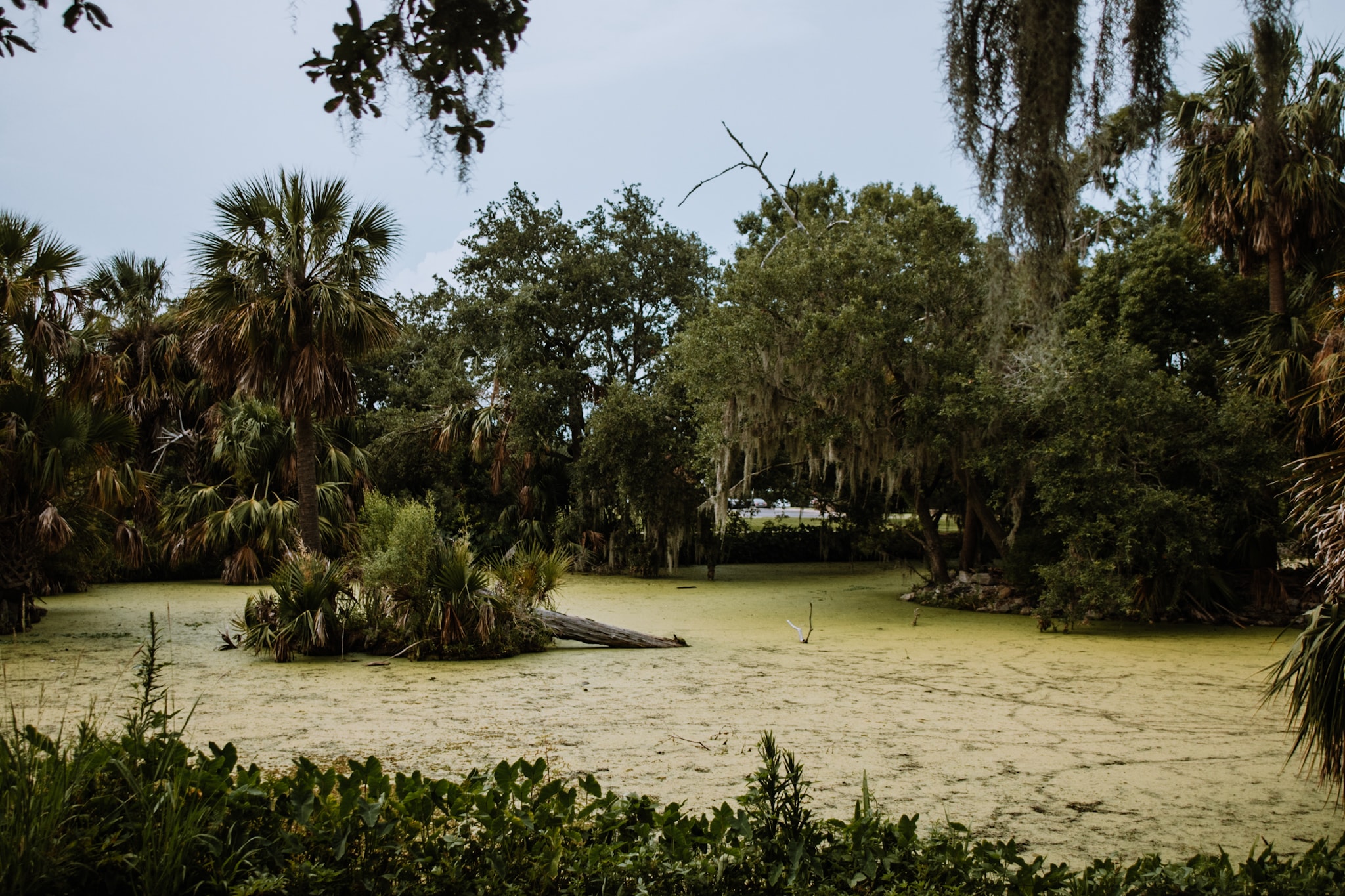 new orleans city park usa united states of america