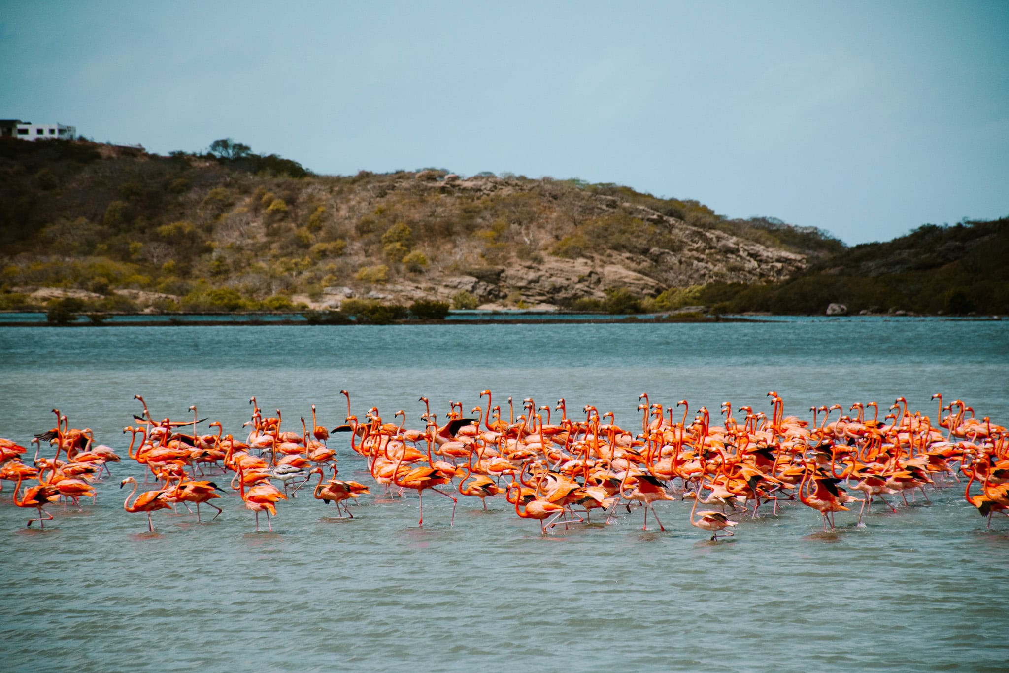 aruba bonaire curacao abc-islands