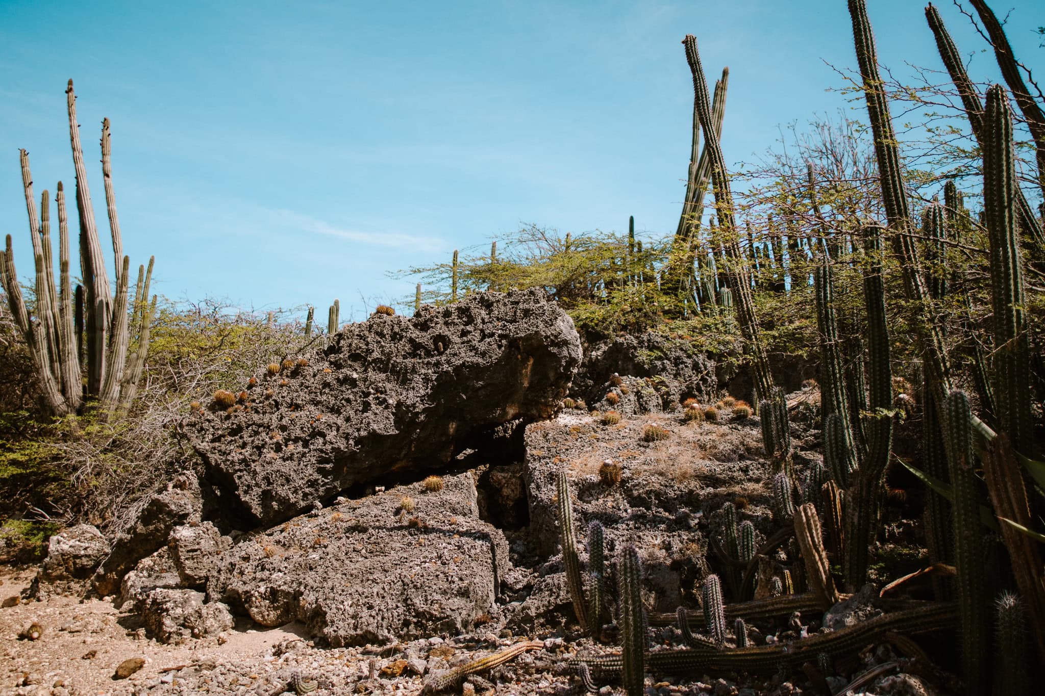 10 Things to Do on Bonaire, ABC-Islands aruba