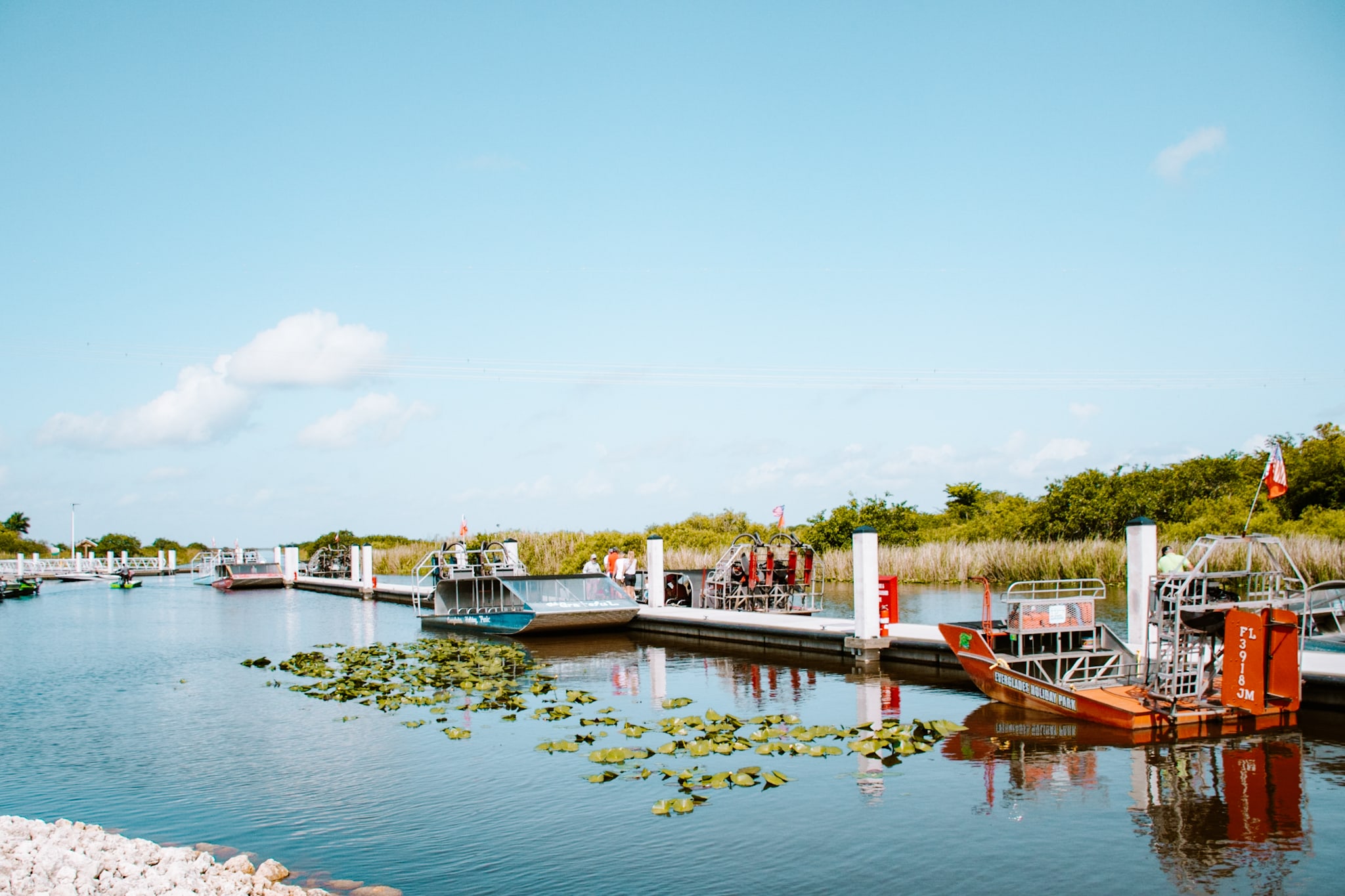 miami florida everglades alligators usa united states of america