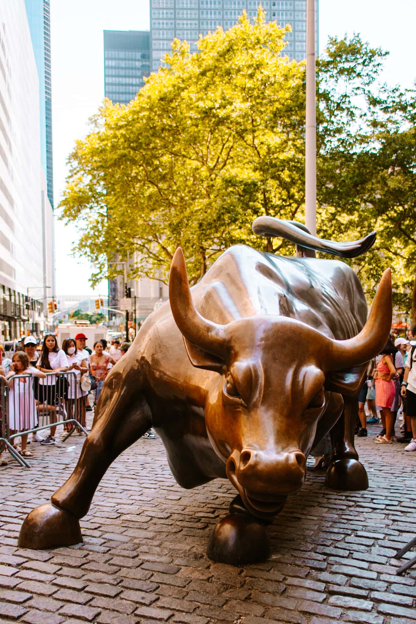 new york city charging bull nyc usa united states of america