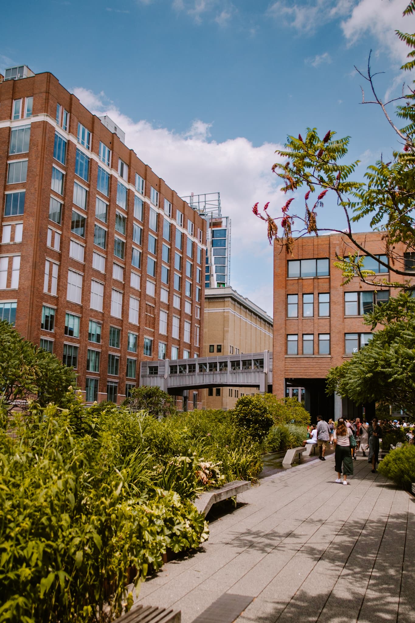 new york city high line nyc usa united states of america