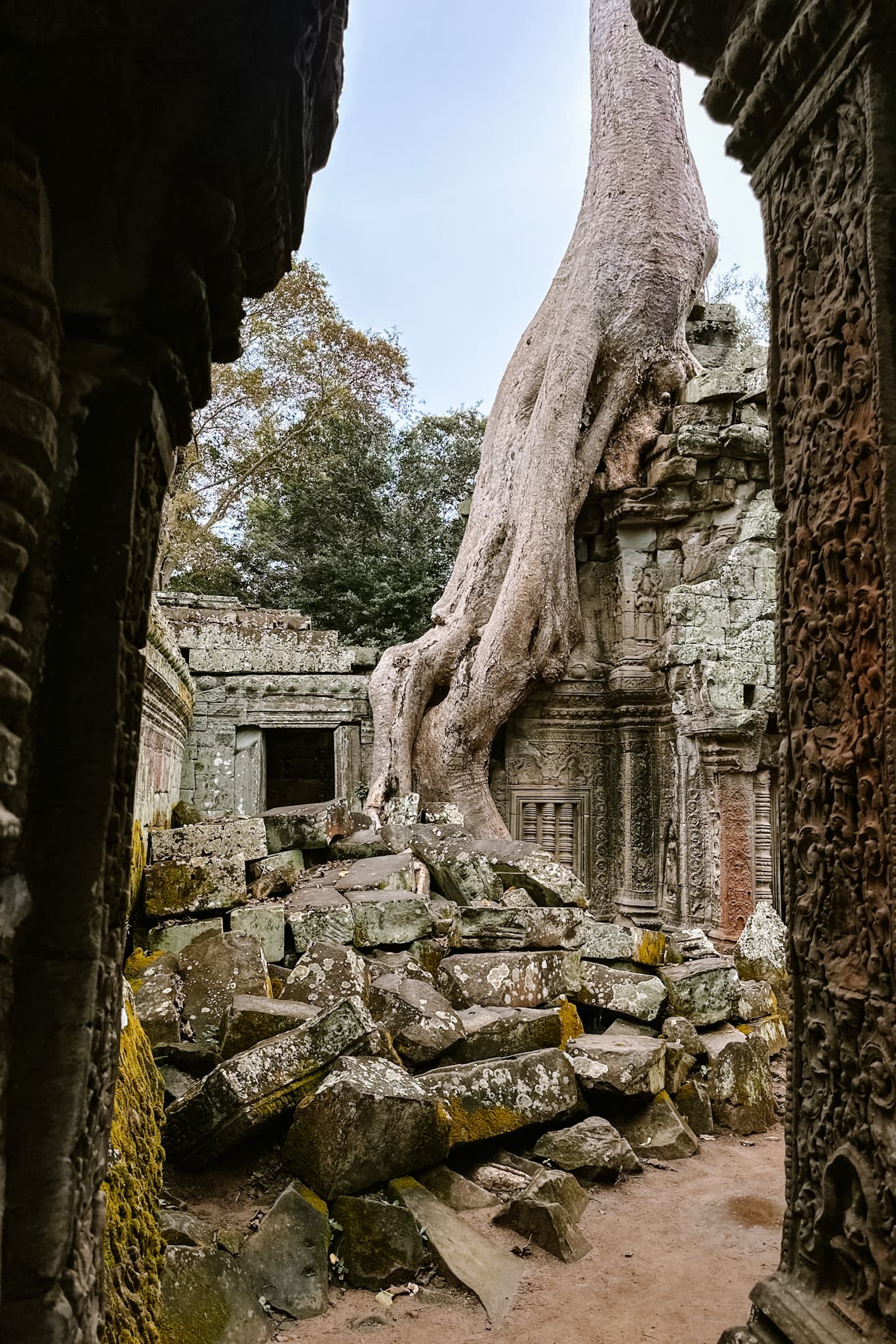 siem reap angkor wat cambodia