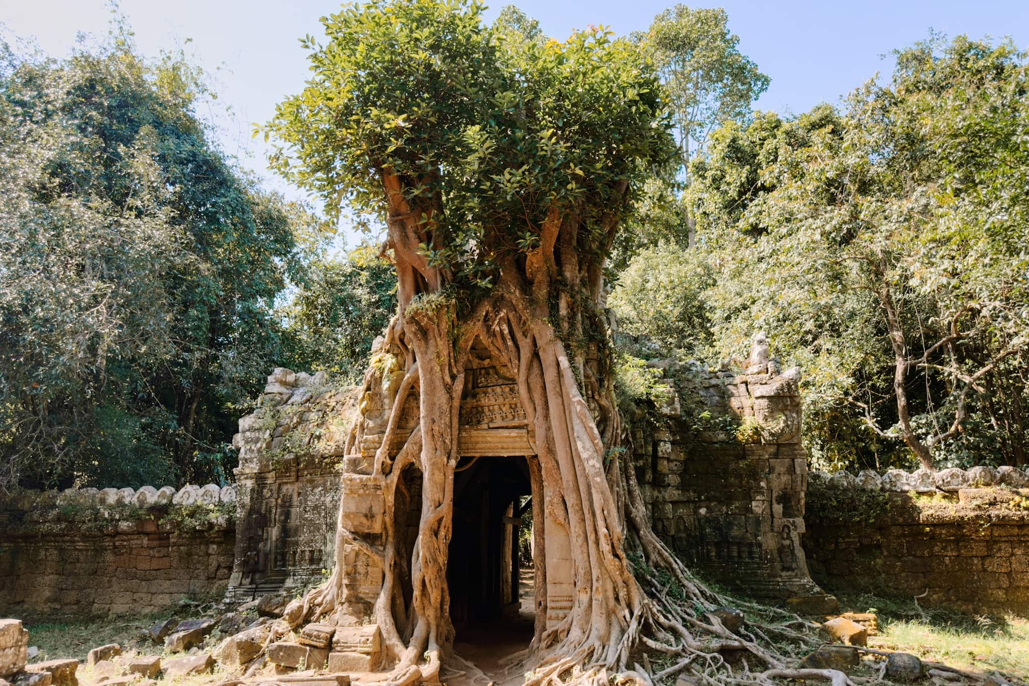 siem reap angkor wat cambodia