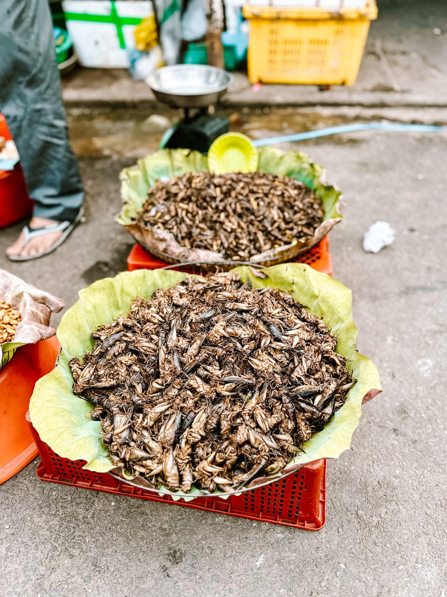 phnom penh cambodia