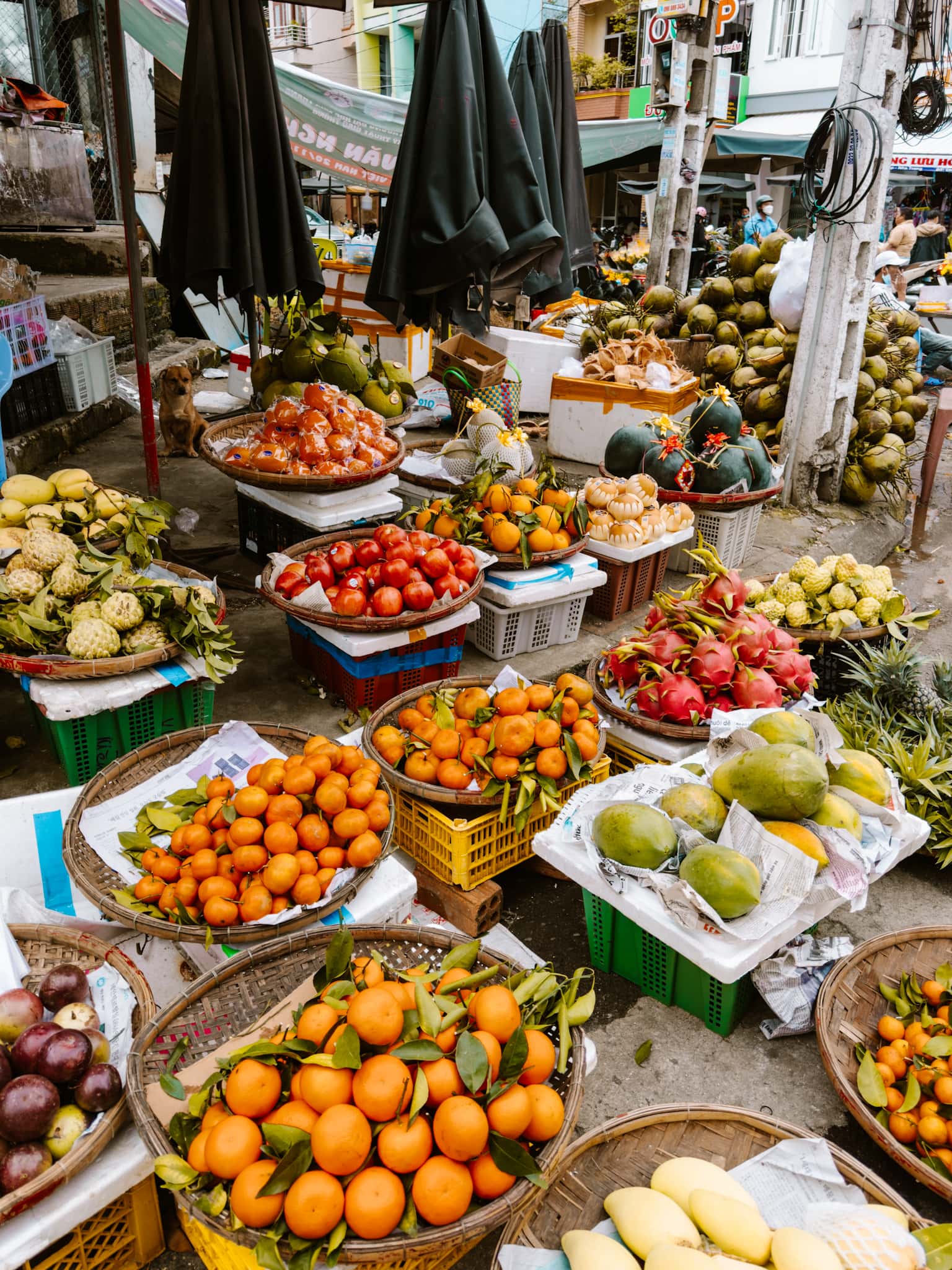 nha trang vietnam