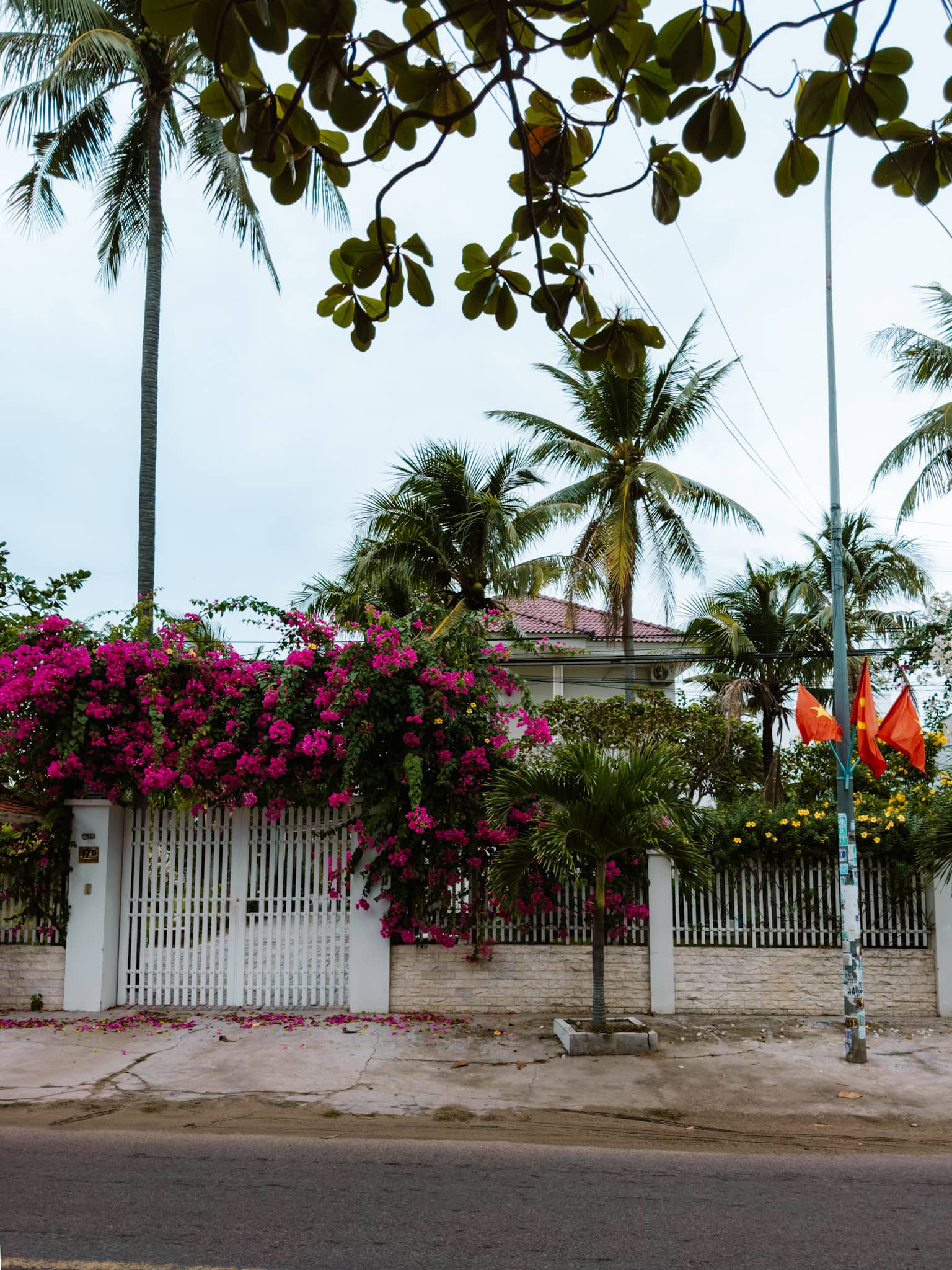 mui ne vietnam