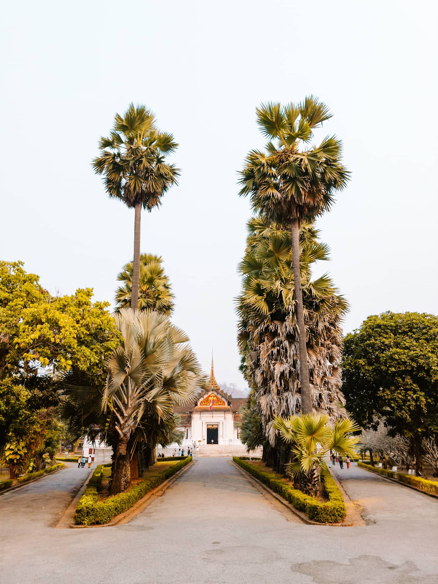 luang prabang laos