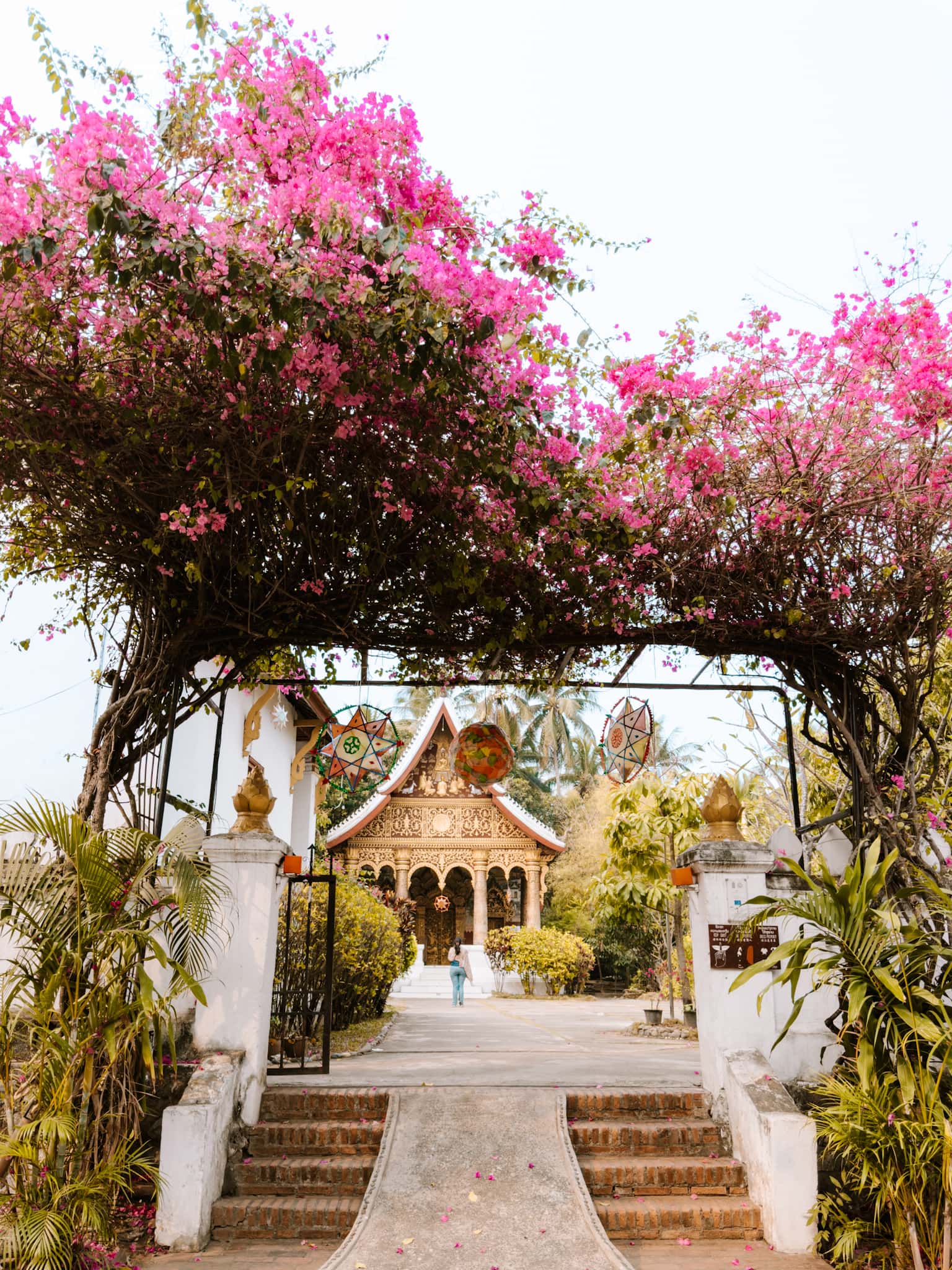 luang prabang laos