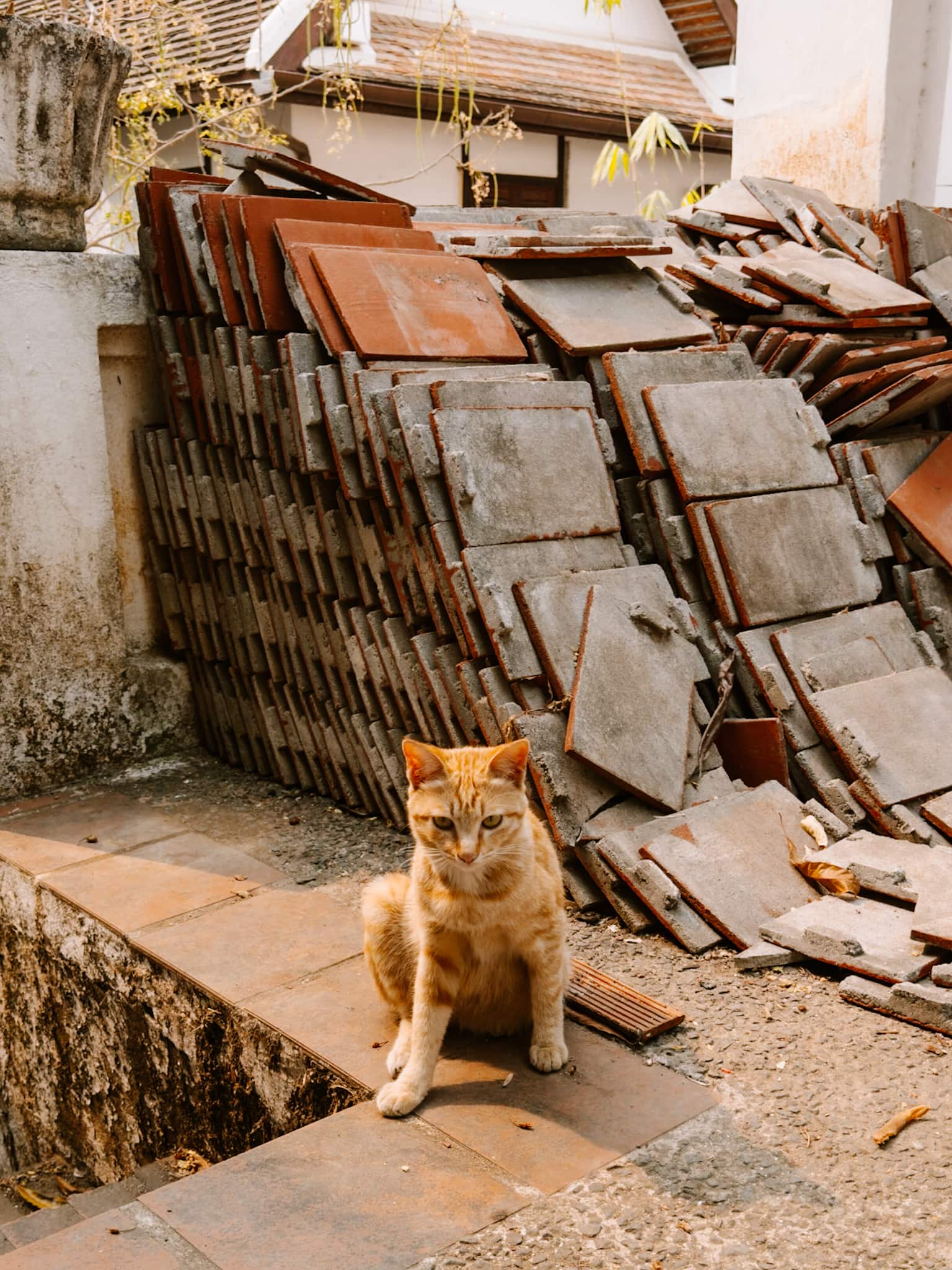 luang prabang laos