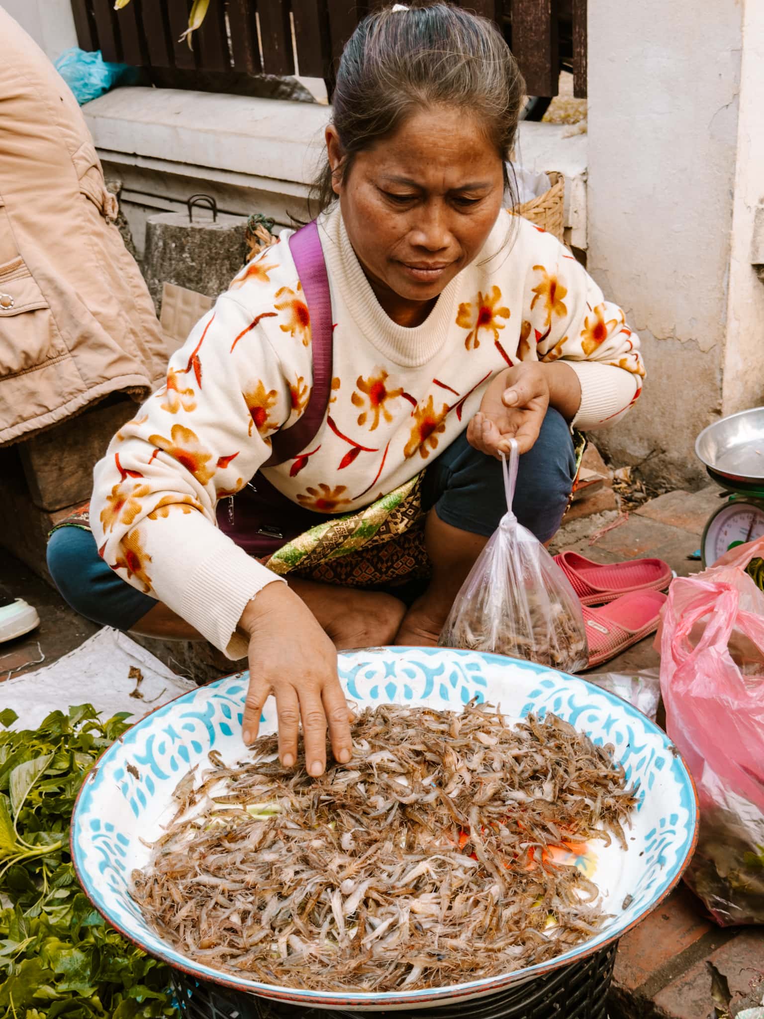 luang prabang laos