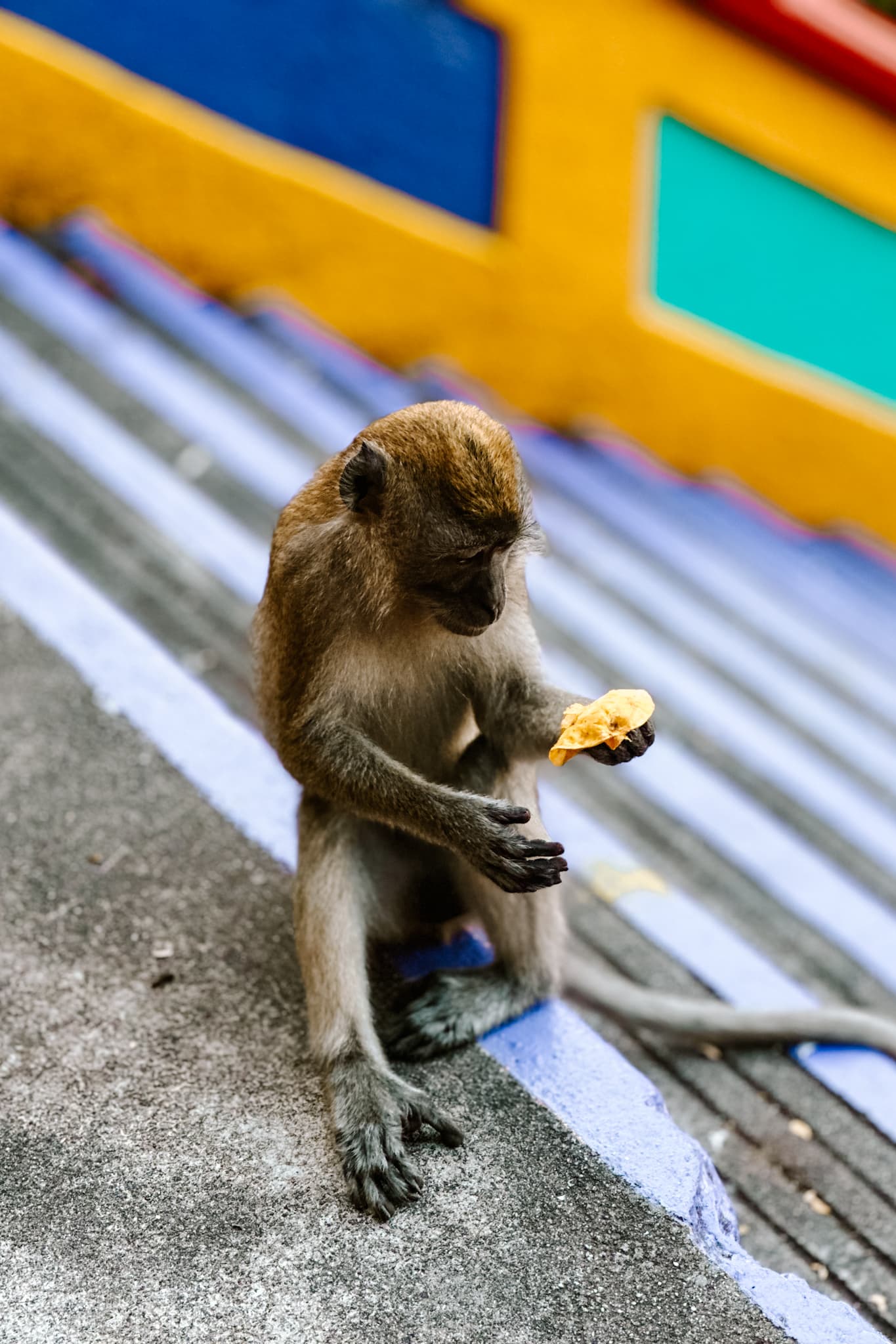 kuala lumpur malaysia batu caves