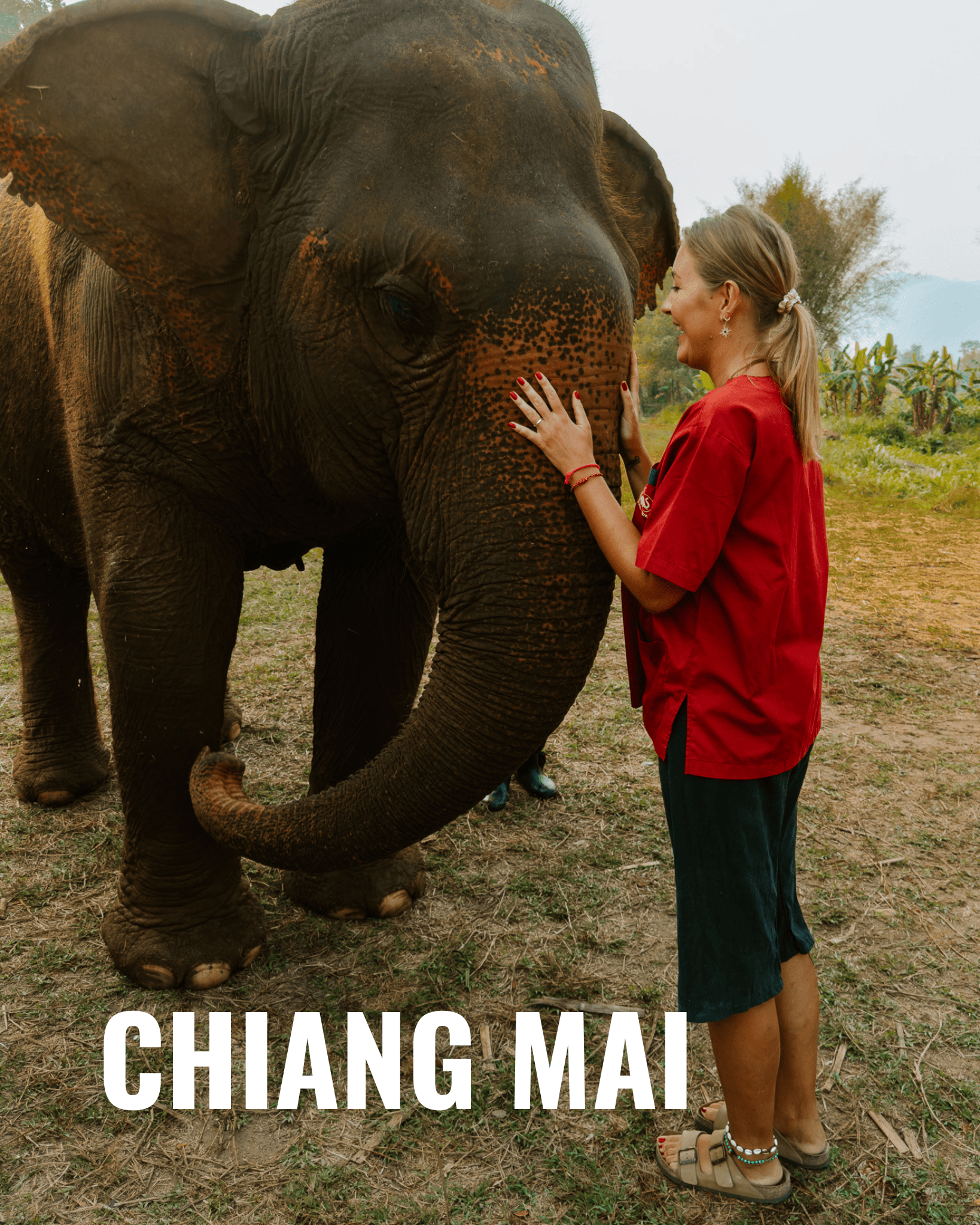 Chiang Mai, Thailand: 13 Best Things to Do cairns