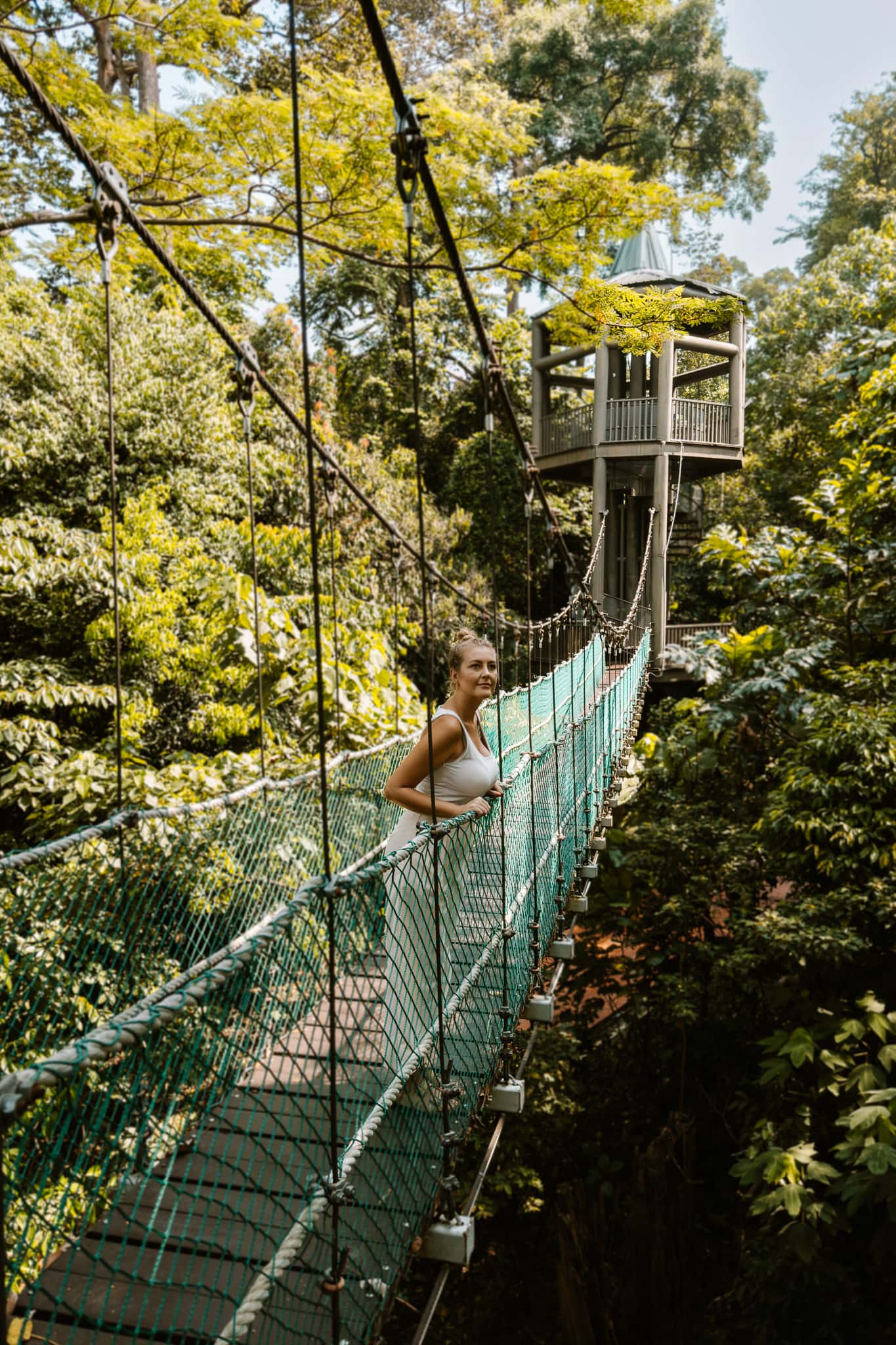 kuala lumpur malaysia eco forest park