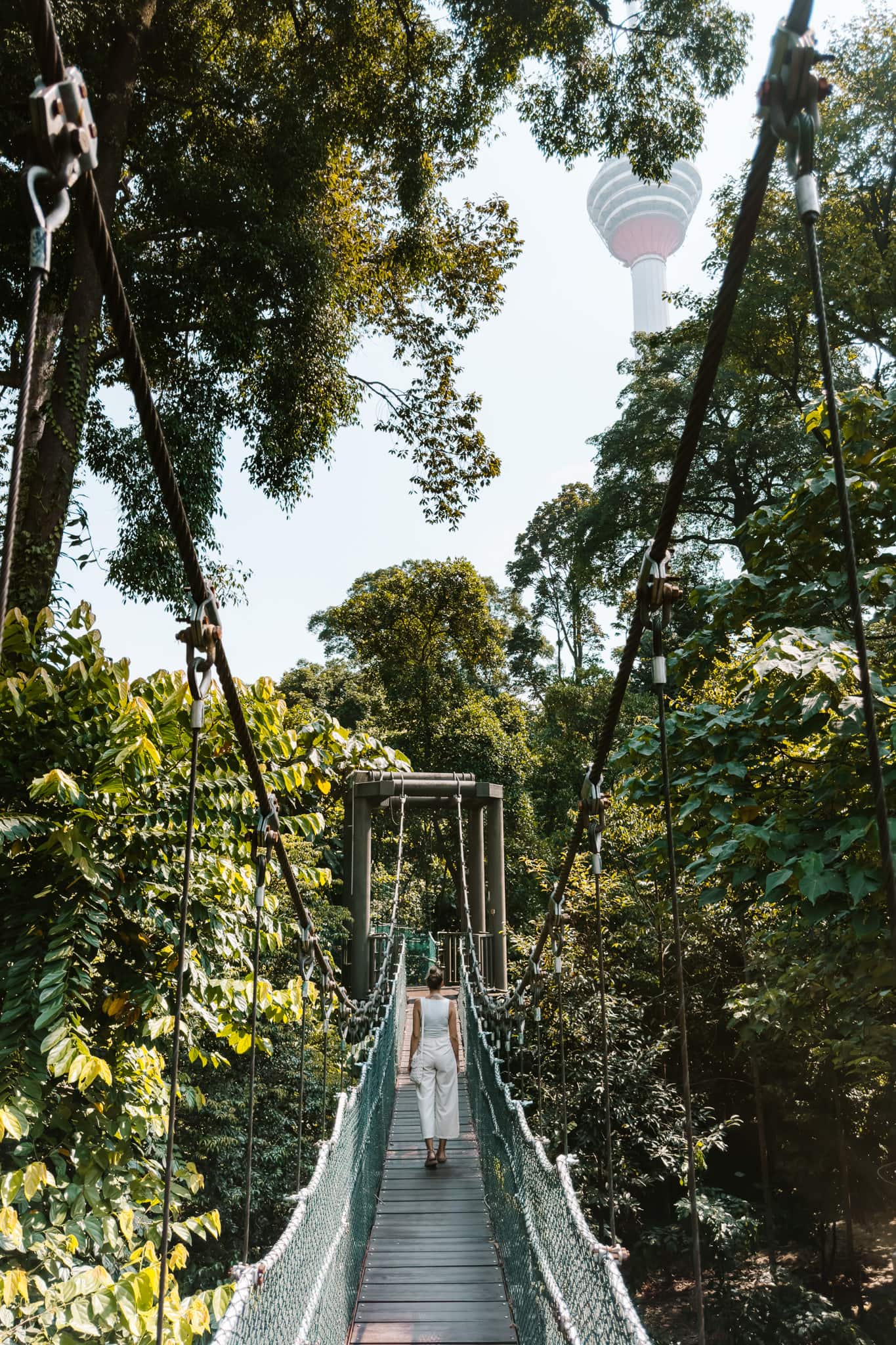 kuala lumpur malaysia eco forest park