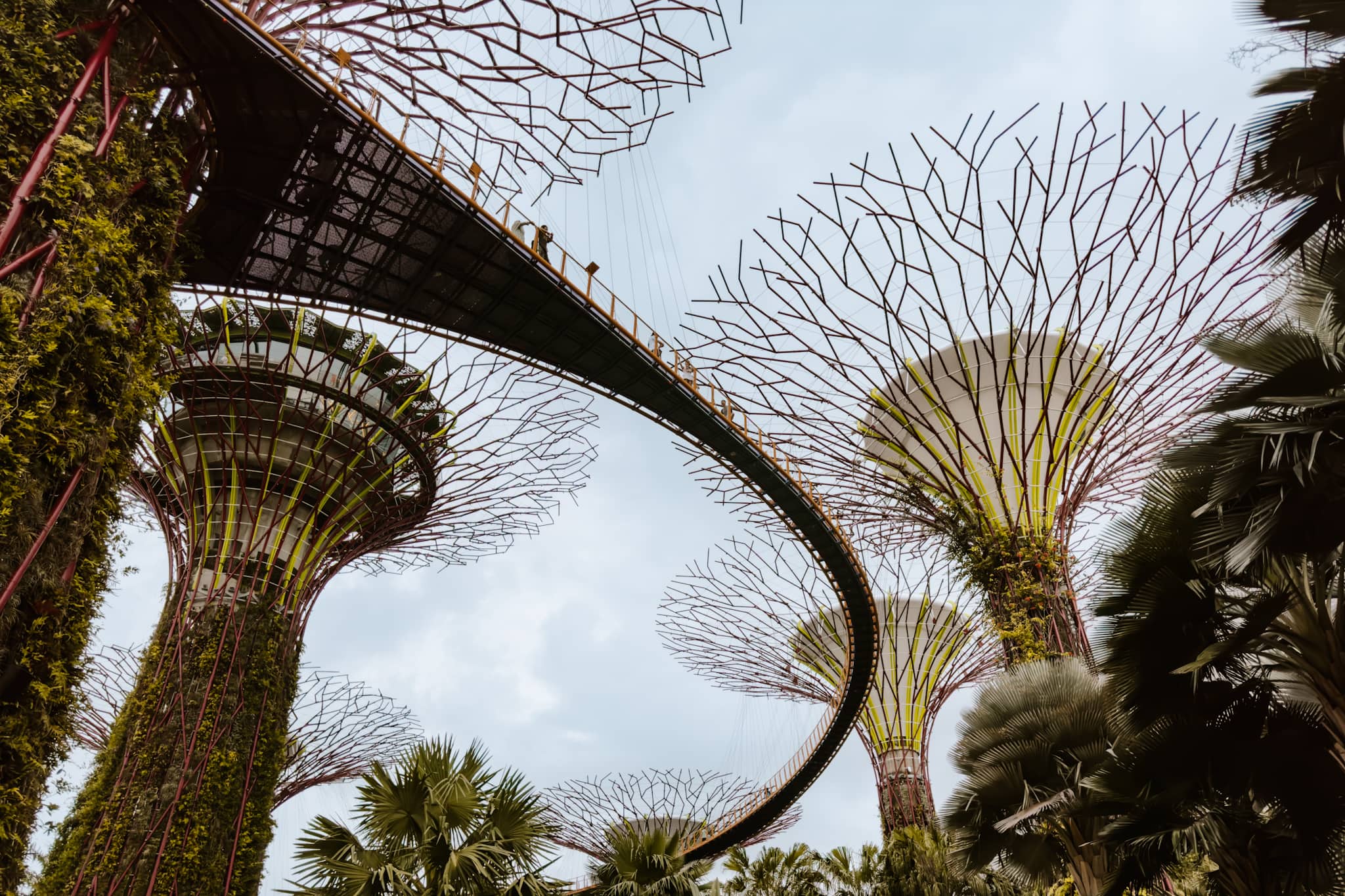 singapore ocbc skyway