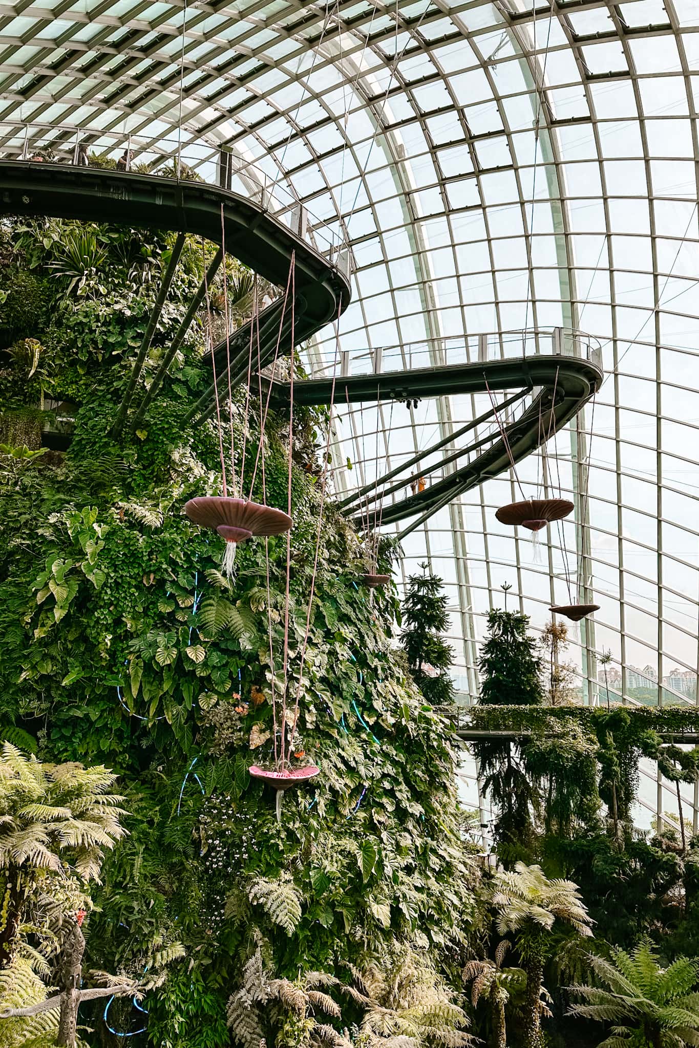 singapore cloud forest