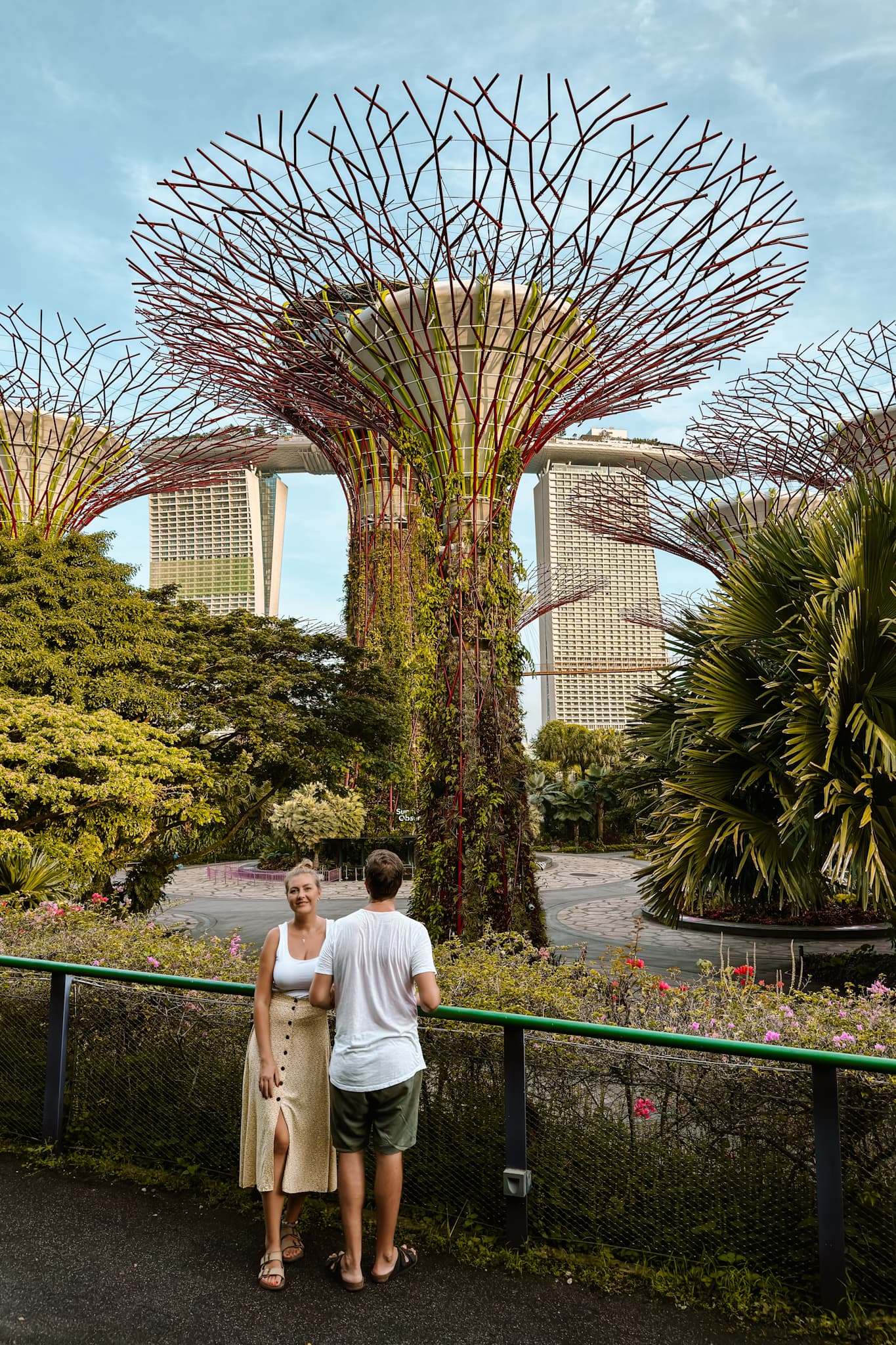 singapore trees