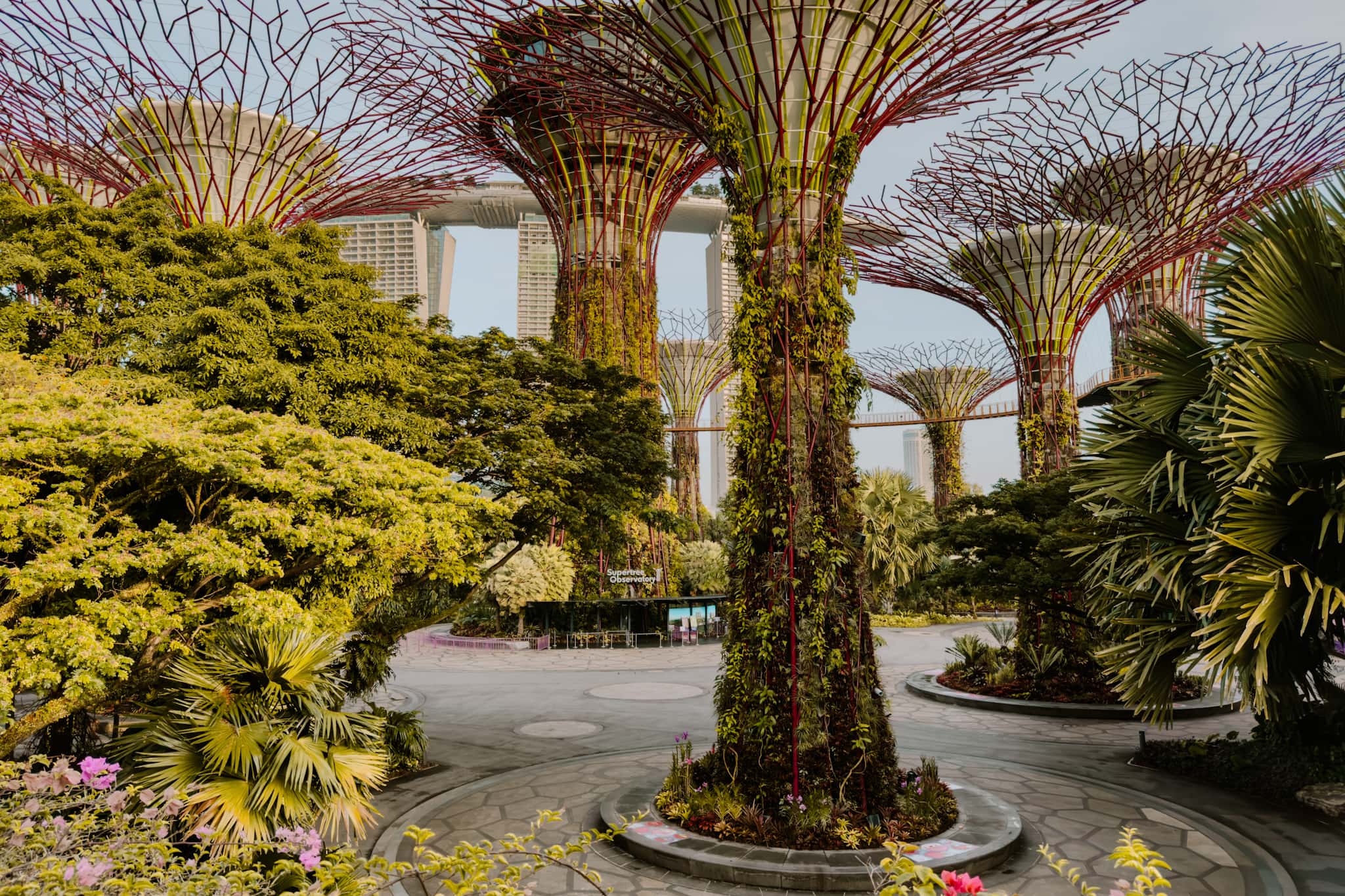 singapore gardens by the bay