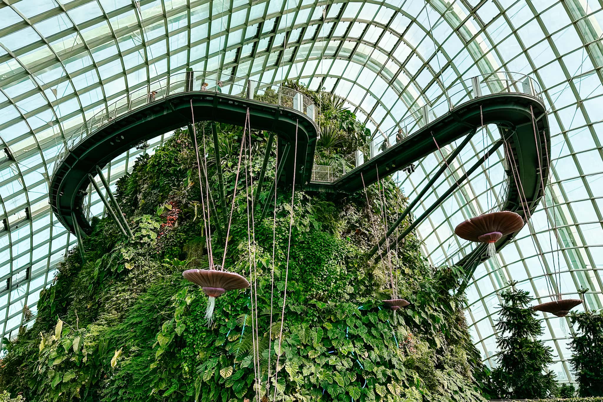 singapore cloud forest