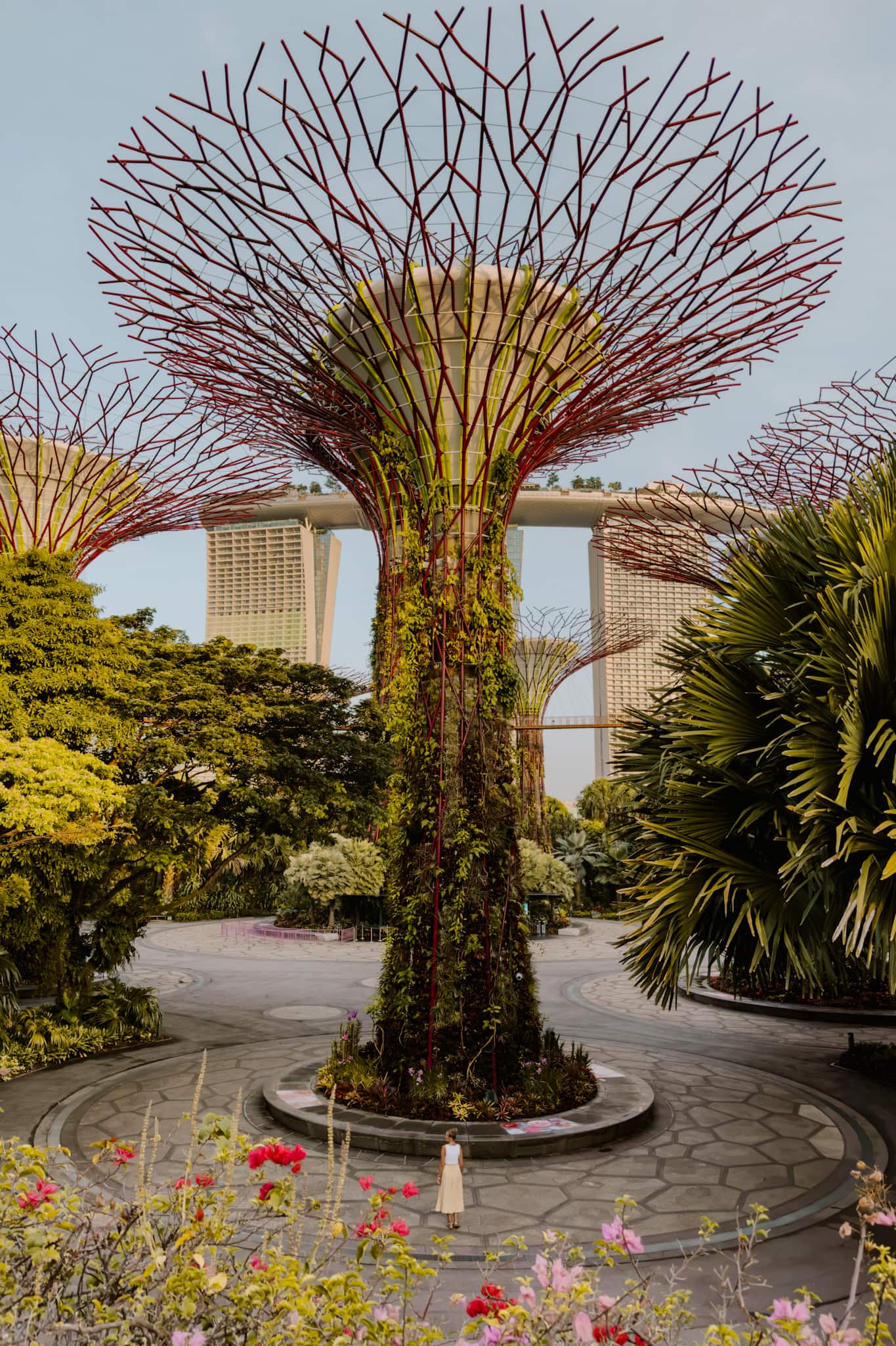 singapore gardens by the bay