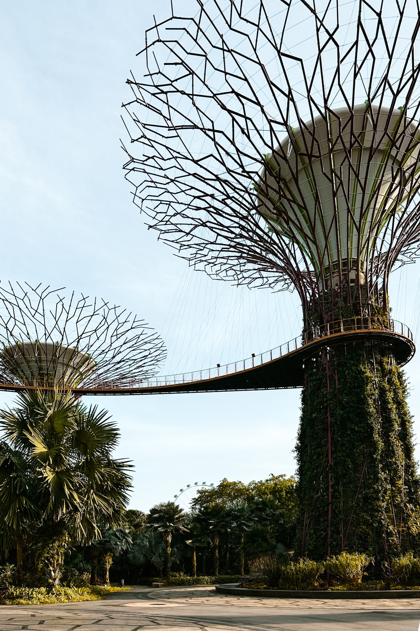 singapore gardens by the bay