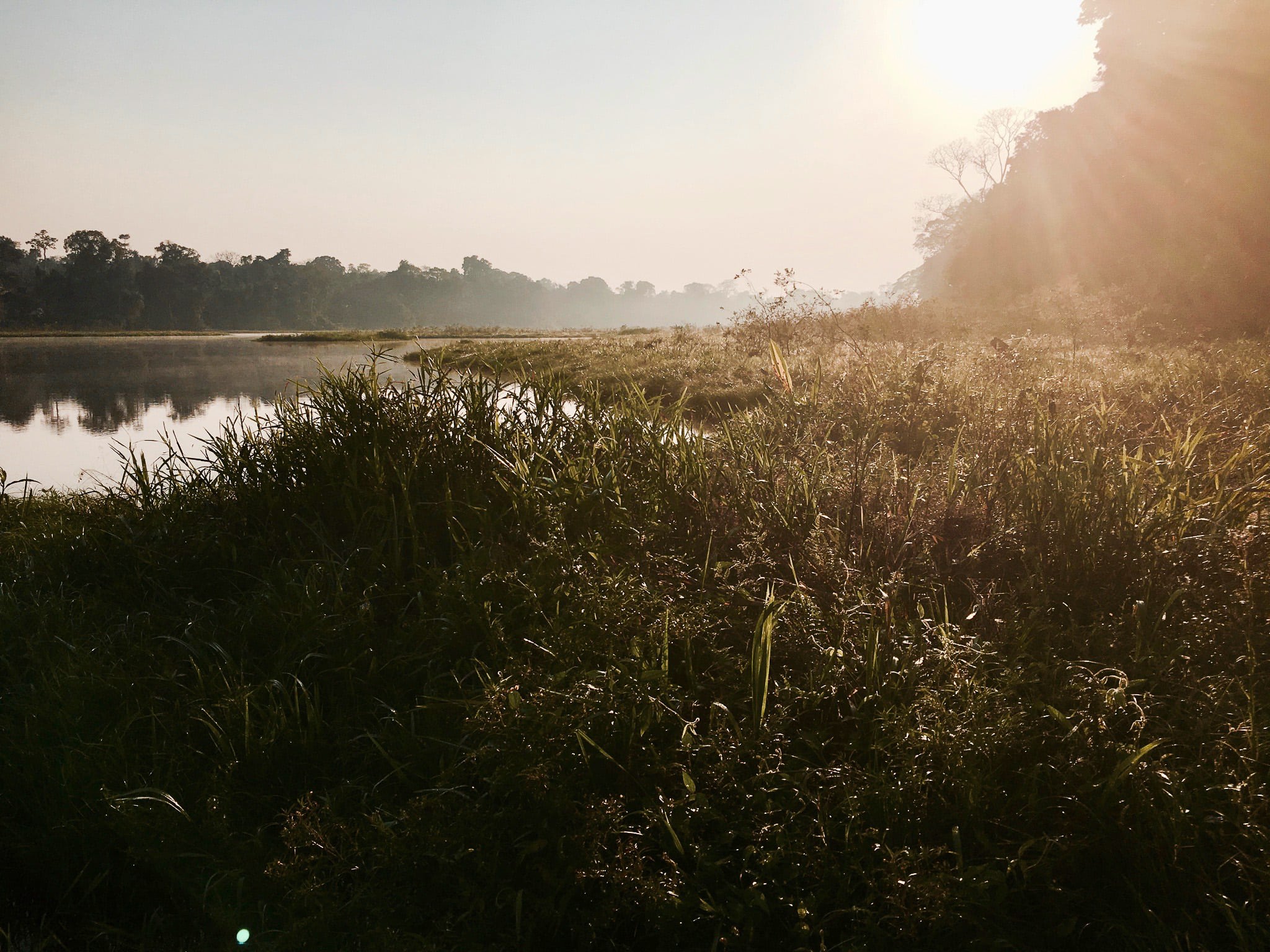 amazon rainforest river peru