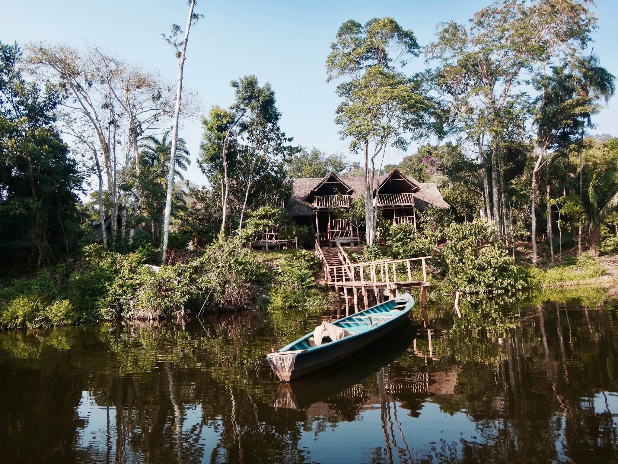 amazon rainforest river peru