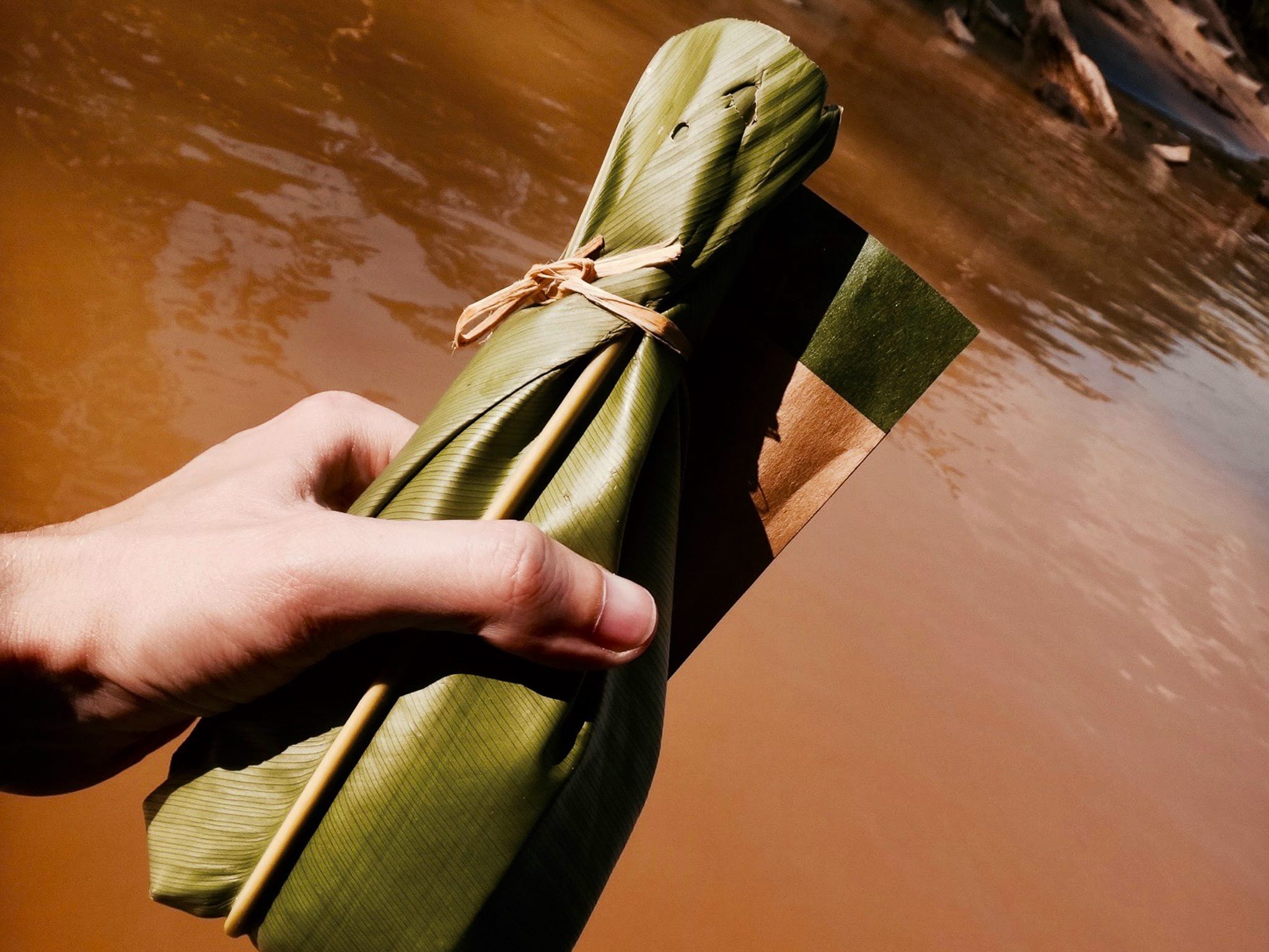 amazon rainforest river peru