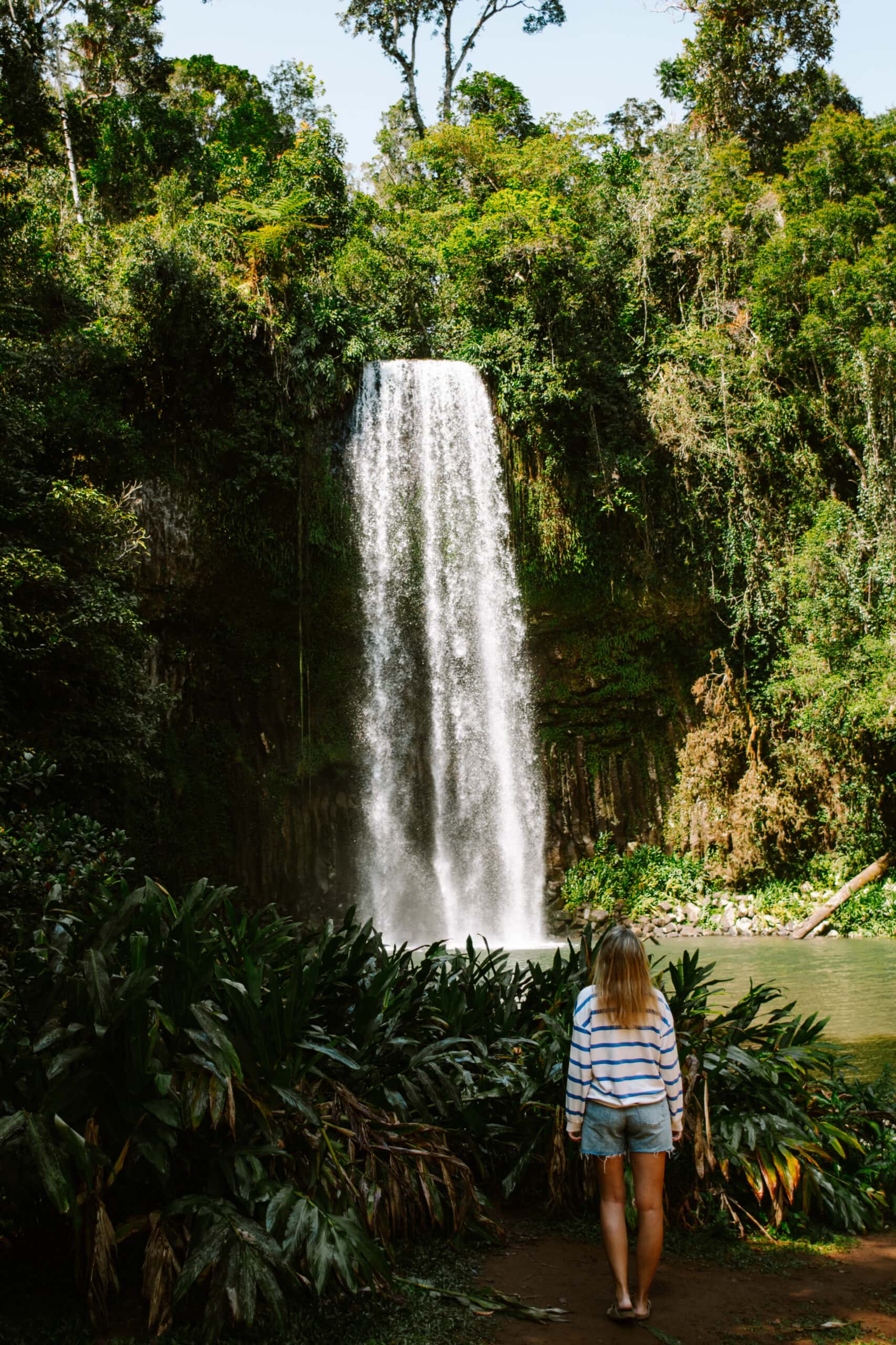 Australia Campervan Road Trip: 13 Best Places and Beaches From Cairns to Brisbane brisbane