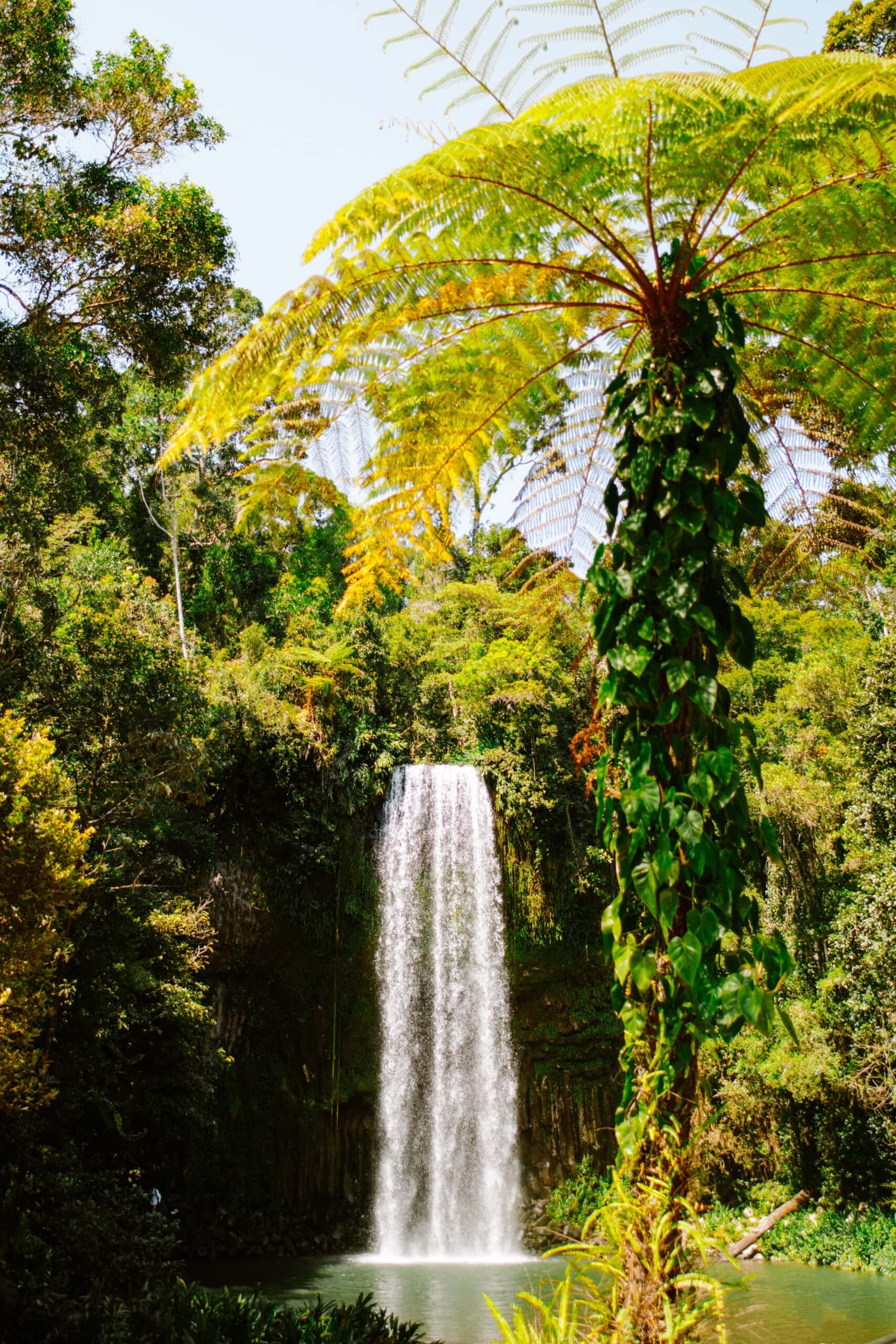 Australia Campervan Road Trip: 13 Best Places and Beaches From Cairns to Brisbane brisbane