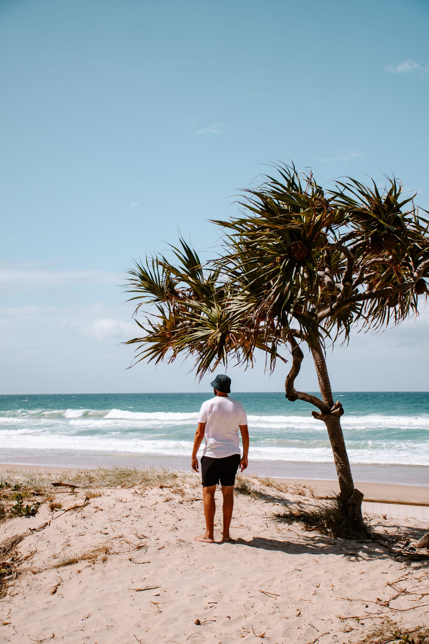 Australia Campervan Road Trip: 14 Best Places and Beaches From Brisbane to Sydney cairns