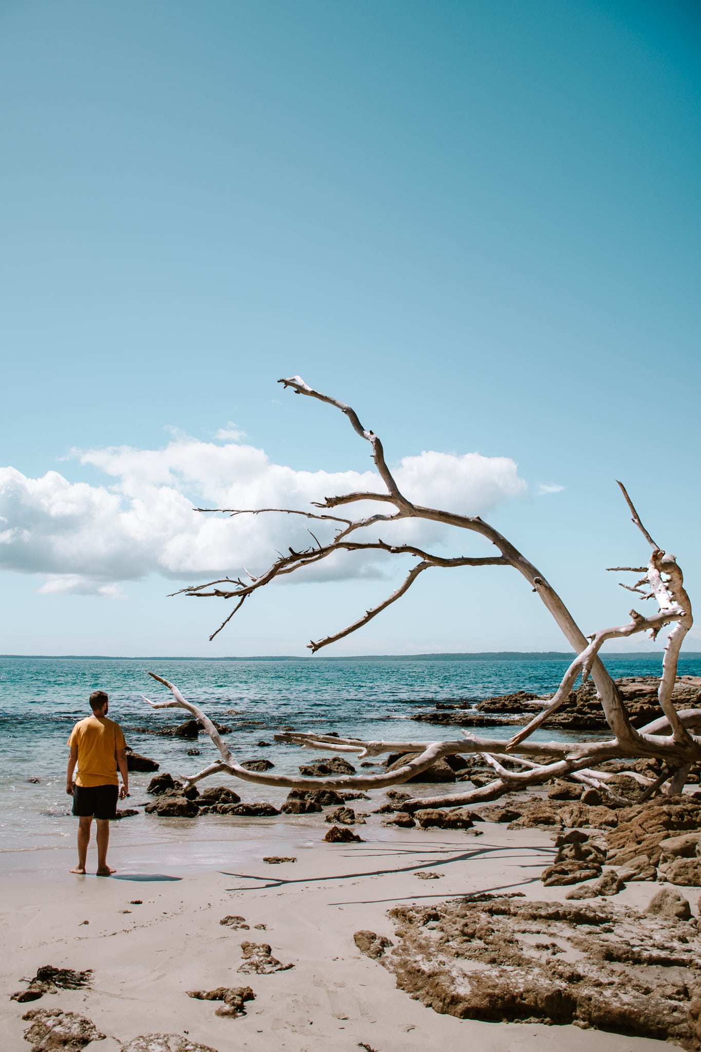 Australia Campervan Road Trip: 11 Best Places and Beaches From Sydney to Melbourne cairns