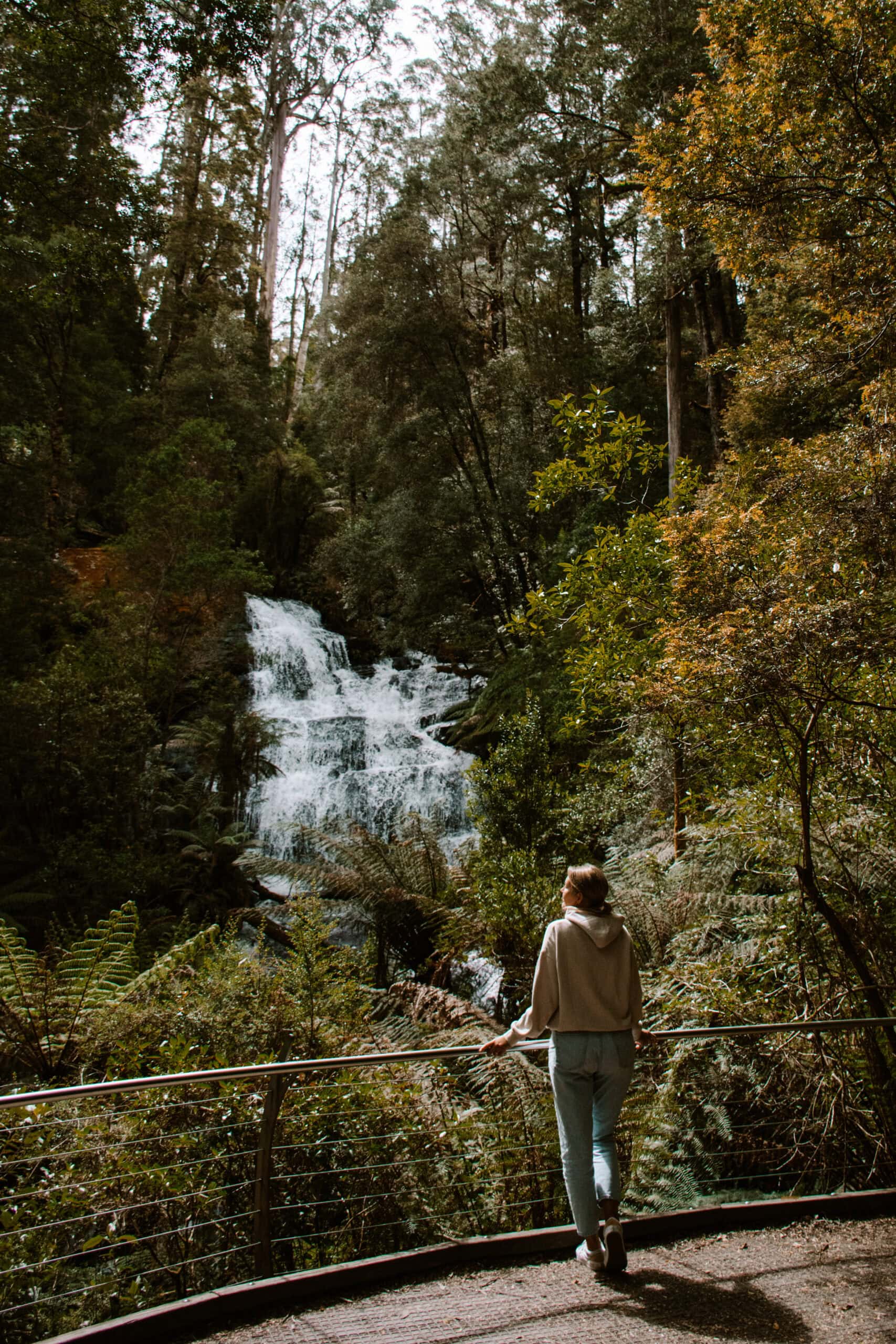 Australia Campervan Road Trip: 14 Best Places and Beaches From Melbourne to Adelaide cairns