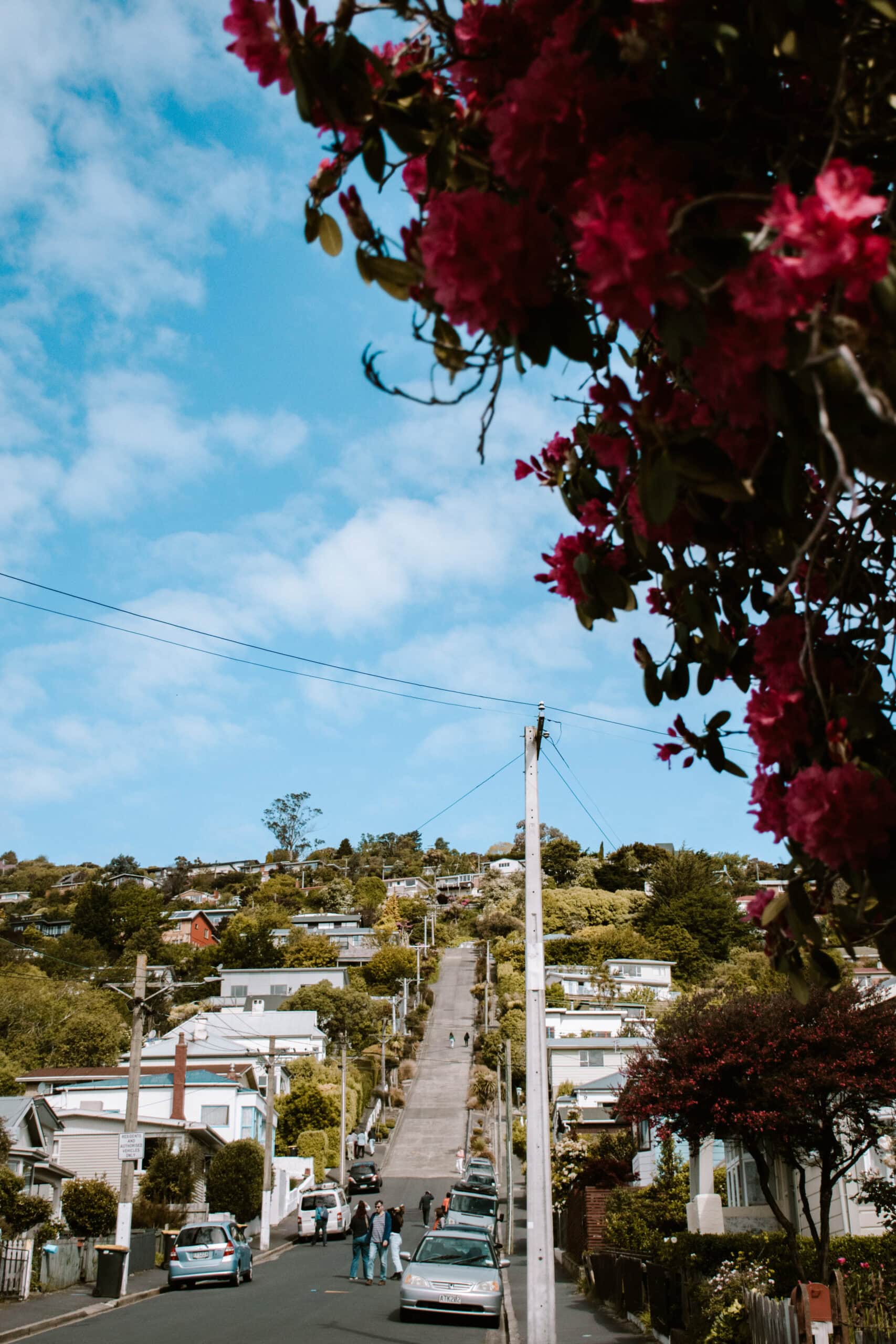 35 Beautiful Places to Visit on South Island, New Zealand