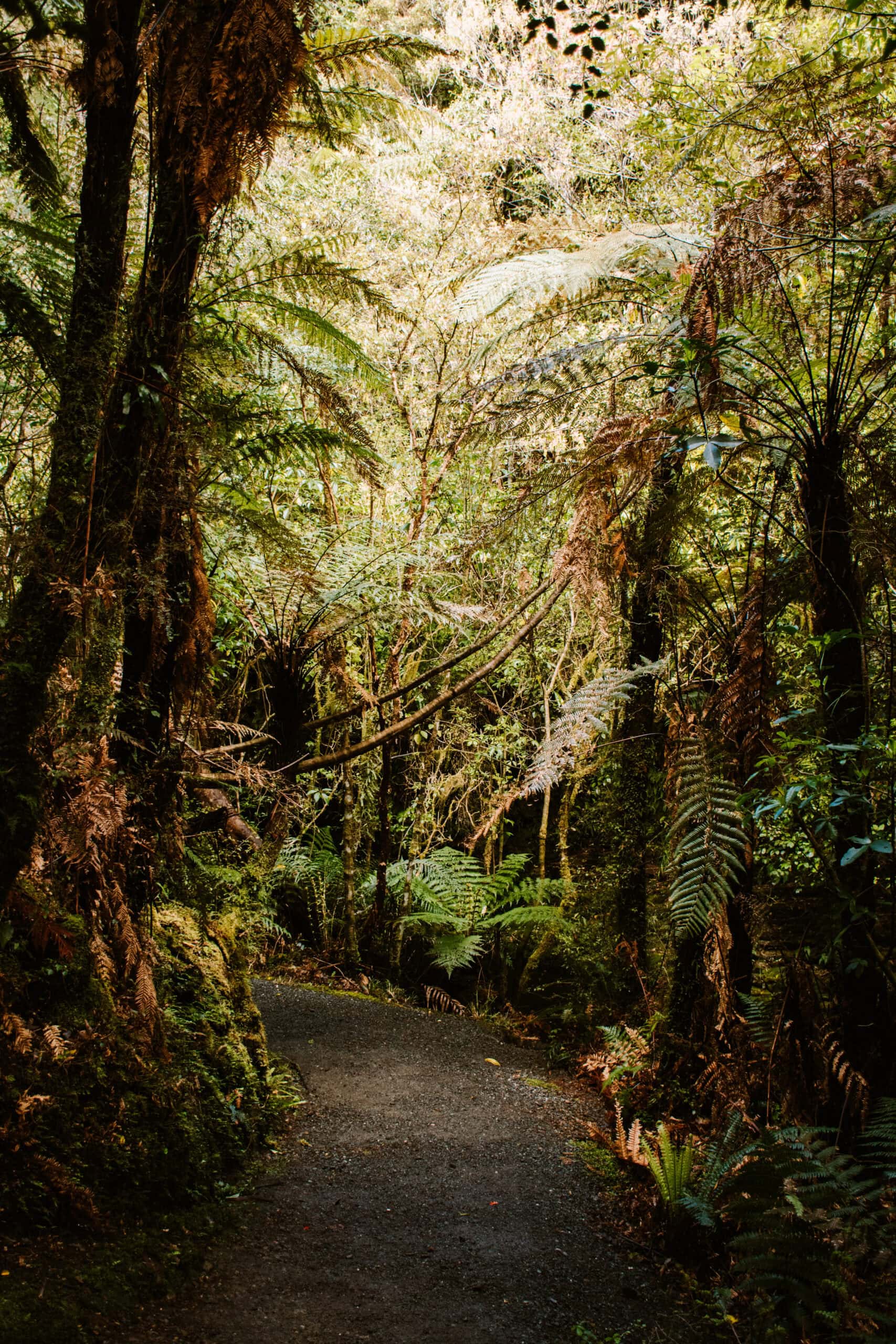 35 Beautiful Places to Visit on South Island, New Zealand