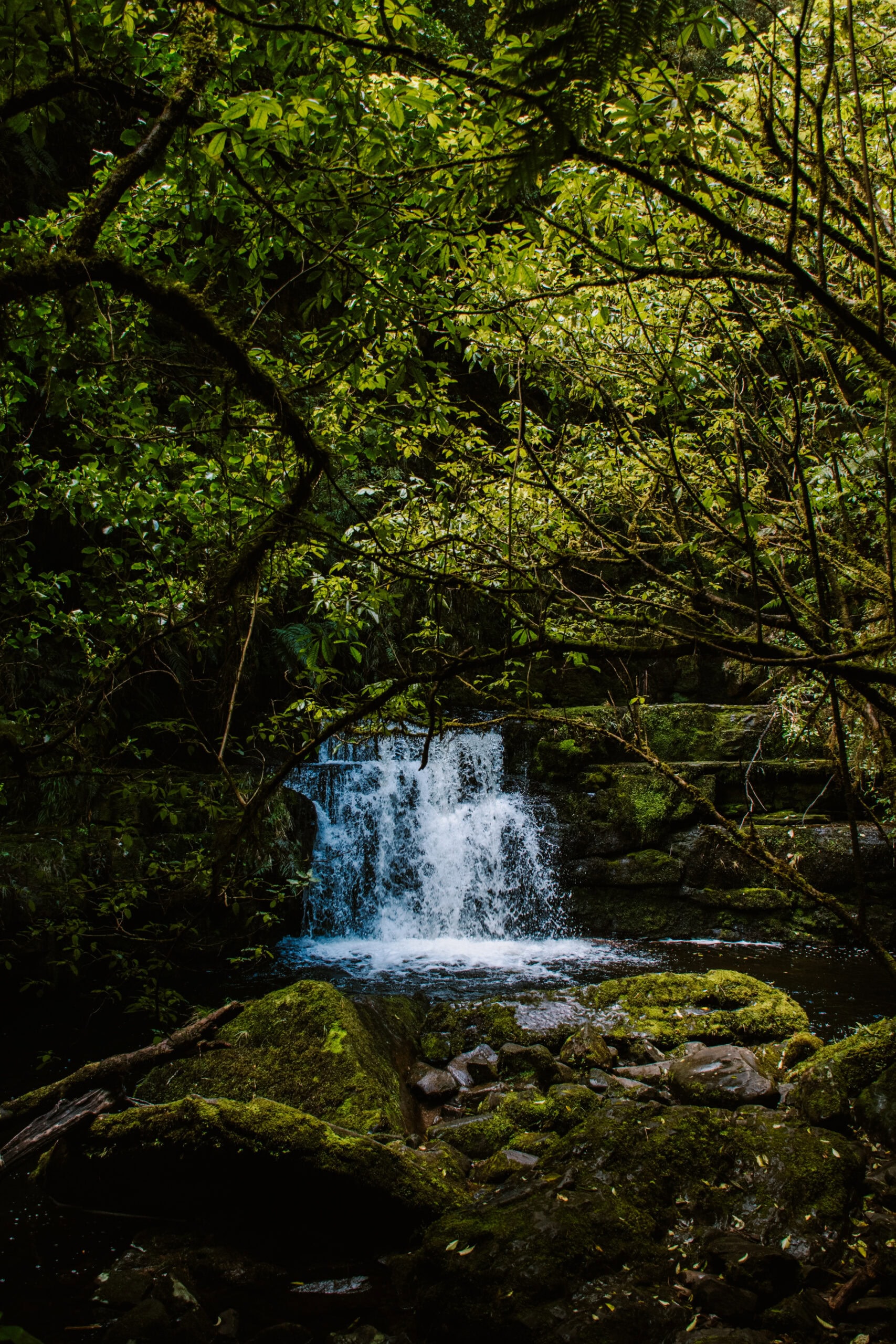 35 Beautiful Places to Visit on South Island, New Zealand