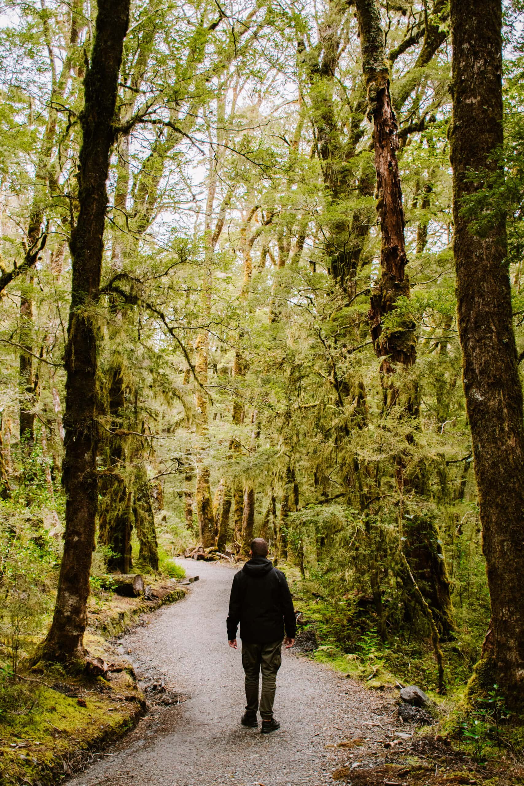 35 Beautiful Places to Visit on South Island, New Zealand