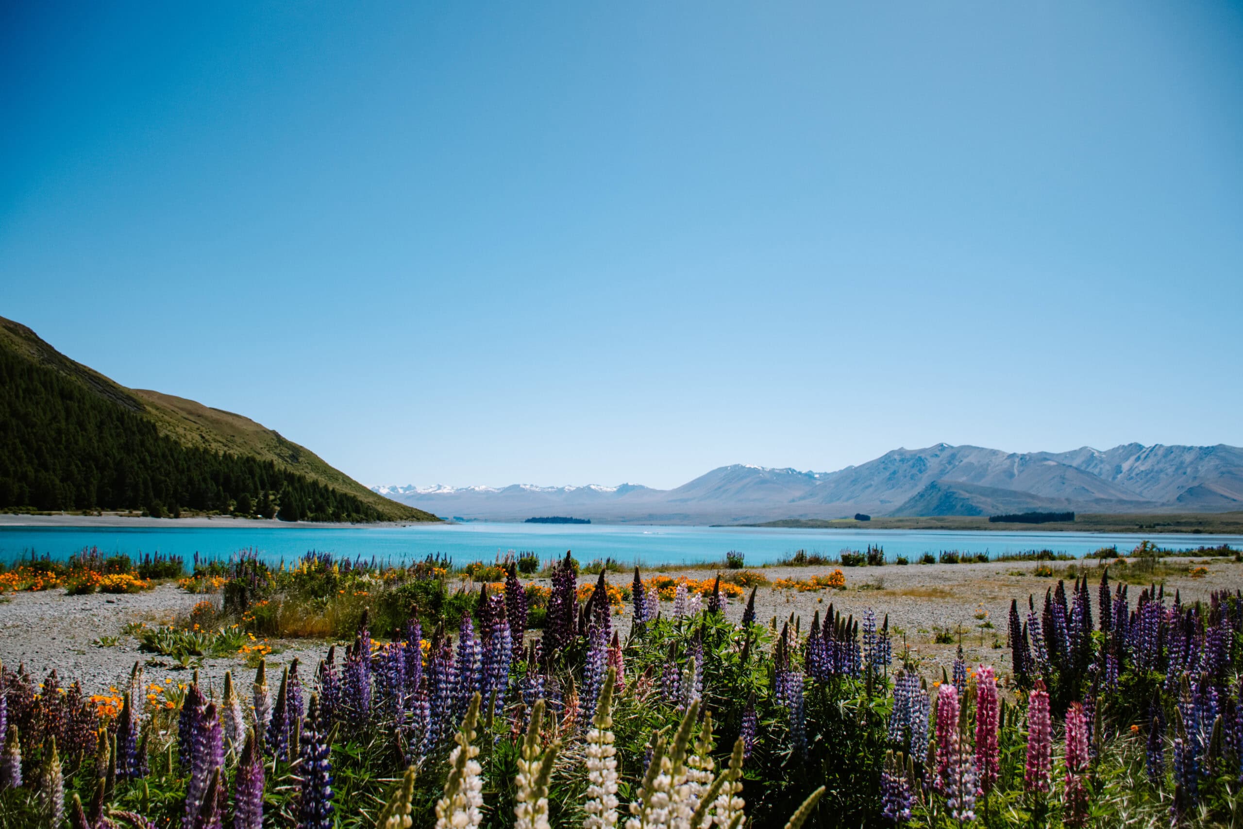 35 Beautiful Places to Visit on South Island, New Zealand