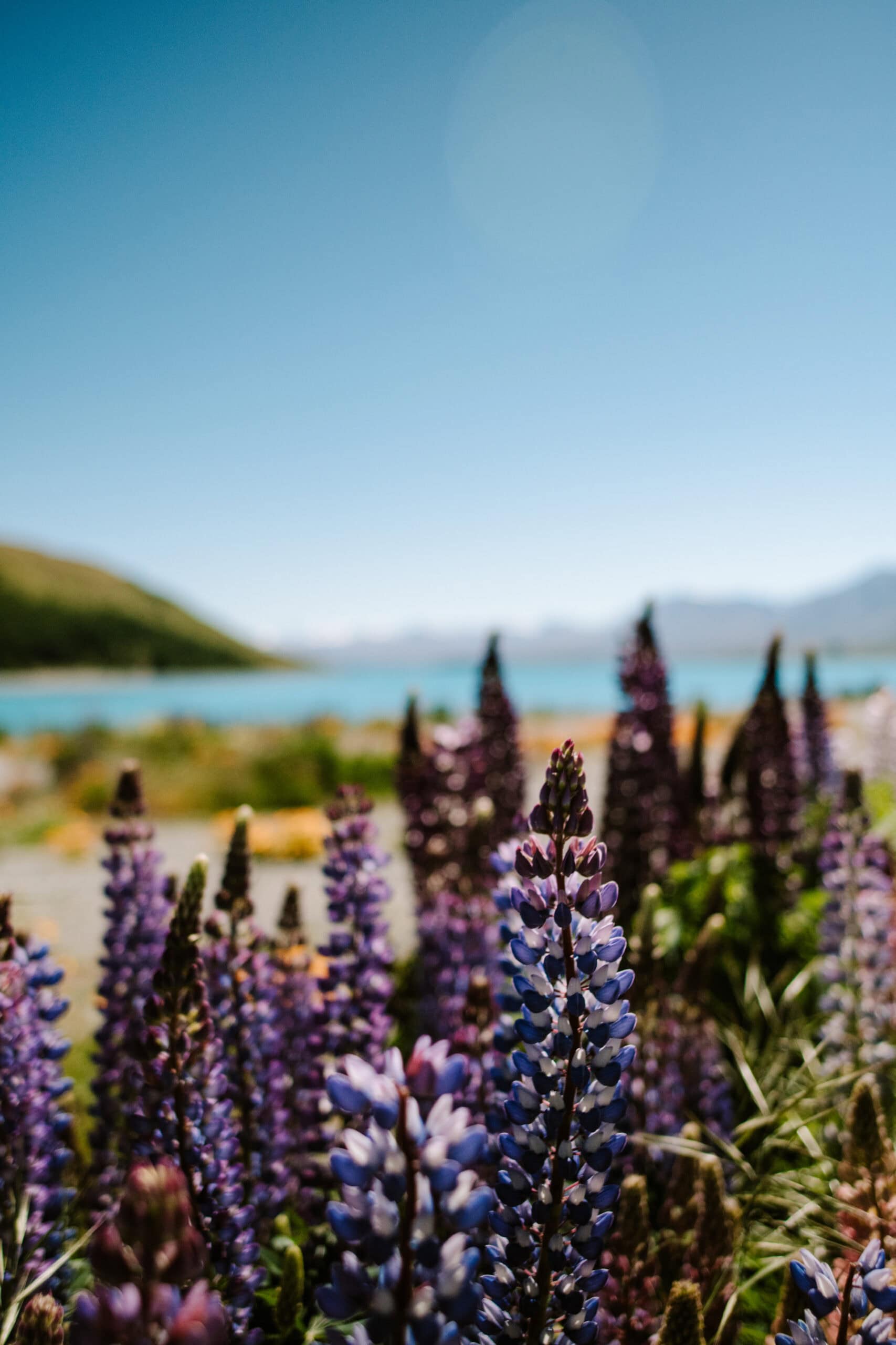 35 Beautiful Places to Visit on South Island, New Zealand