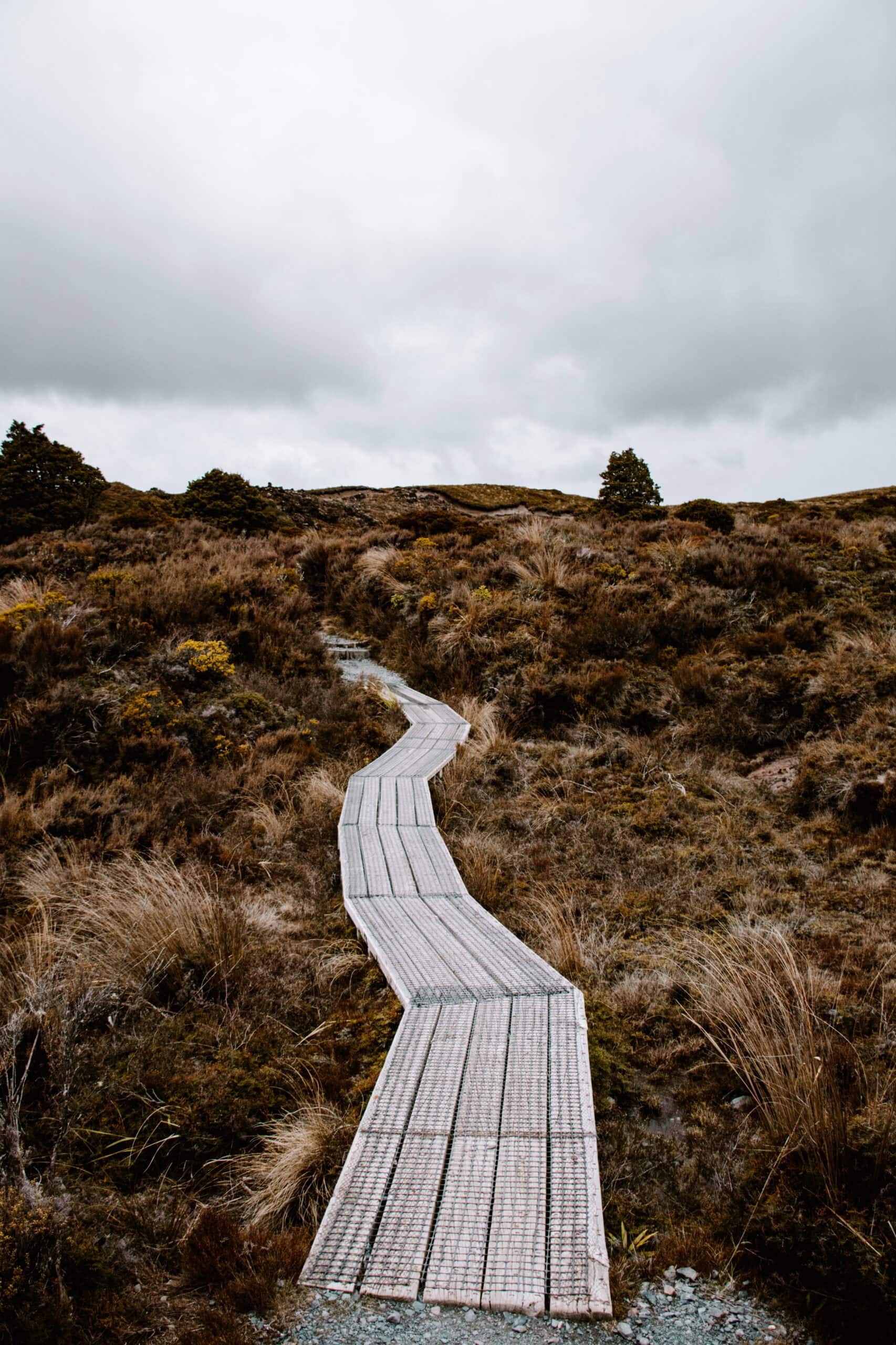 new zealand north island