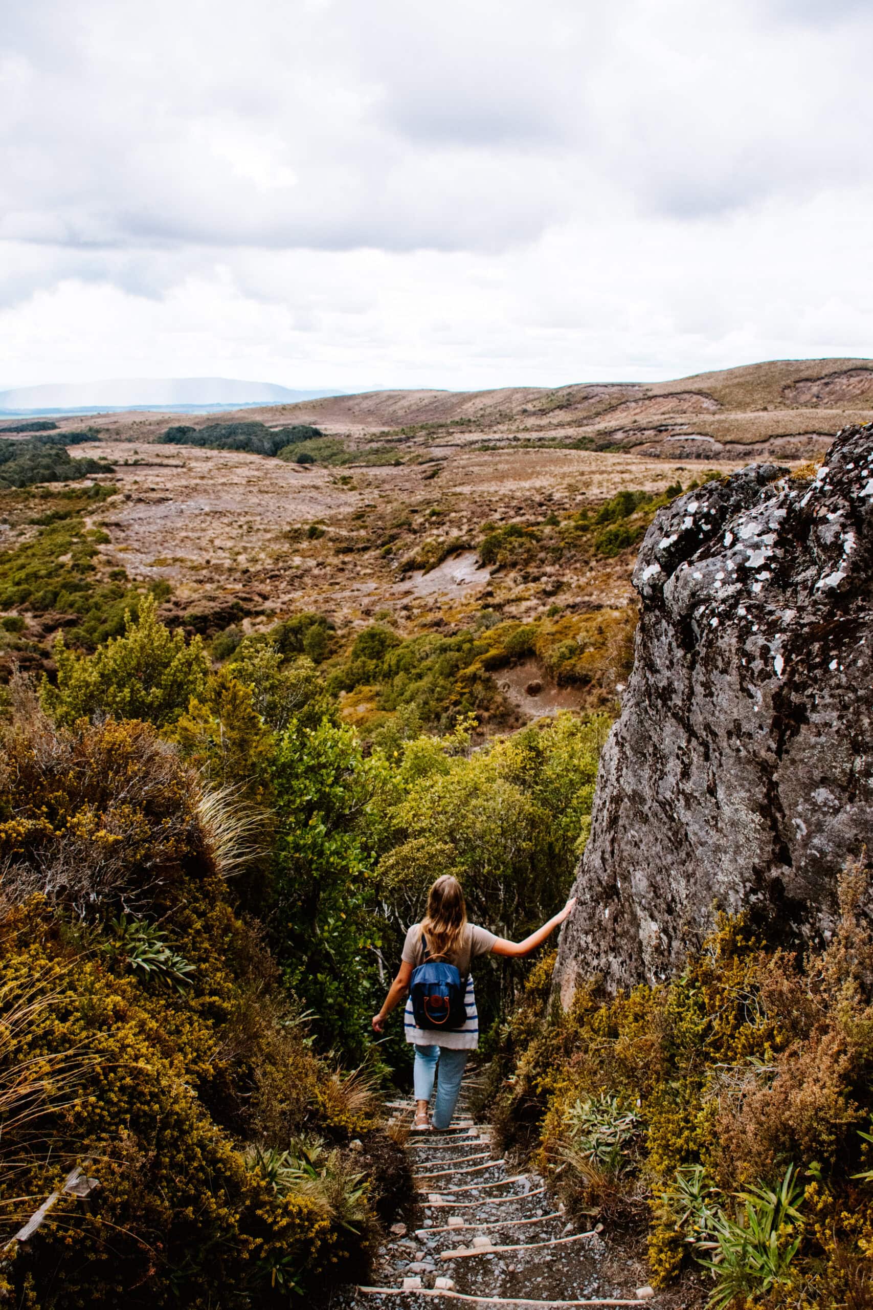 new zealand north island