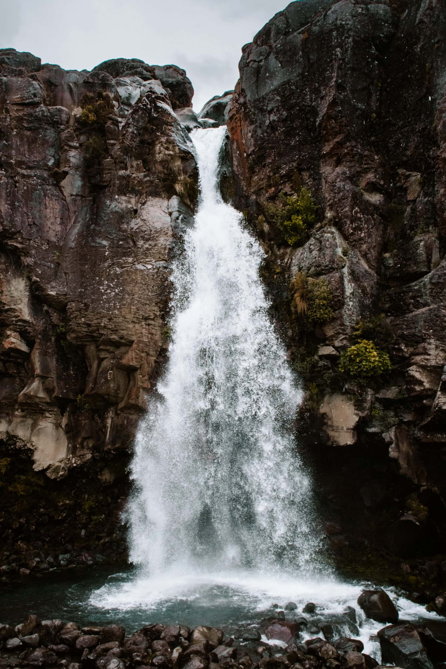 new zealand north island