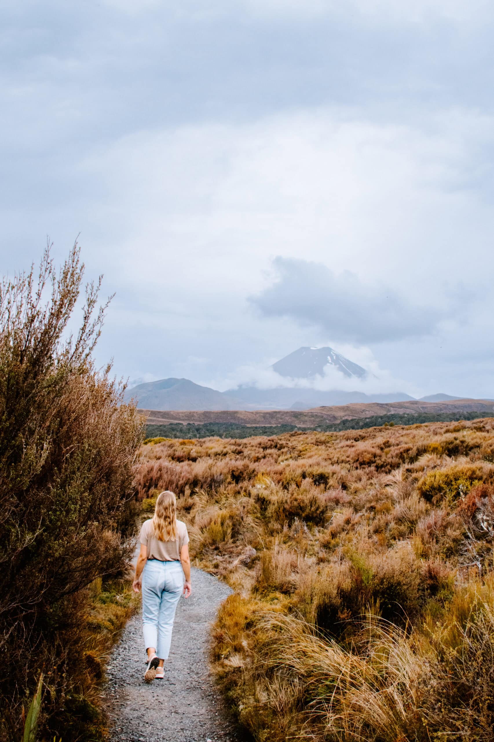 new zealand north island