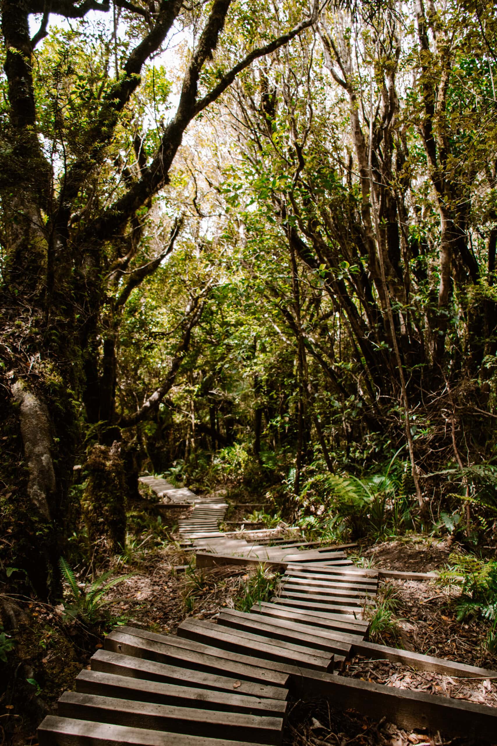 new zealand north island