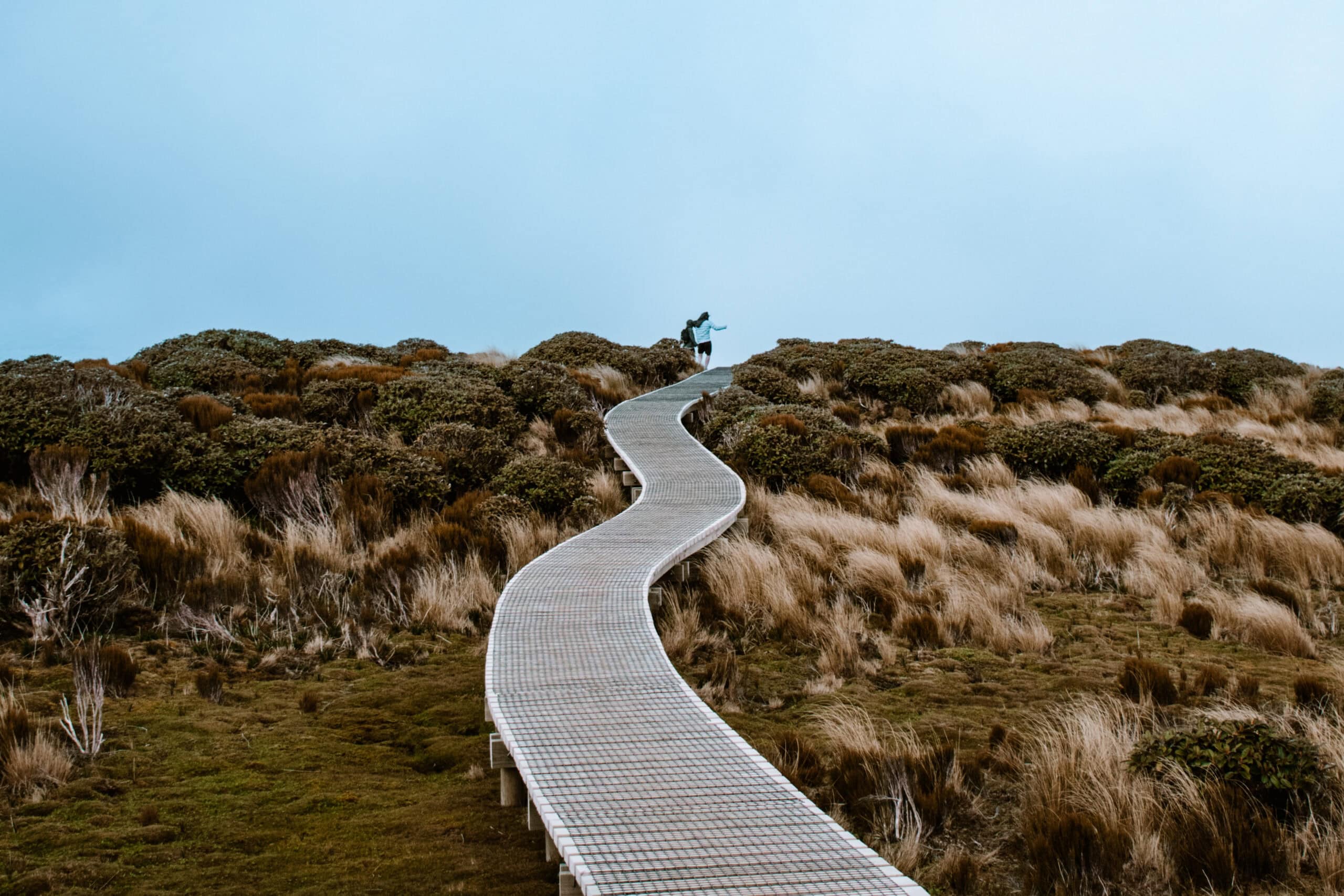 new zealand north island