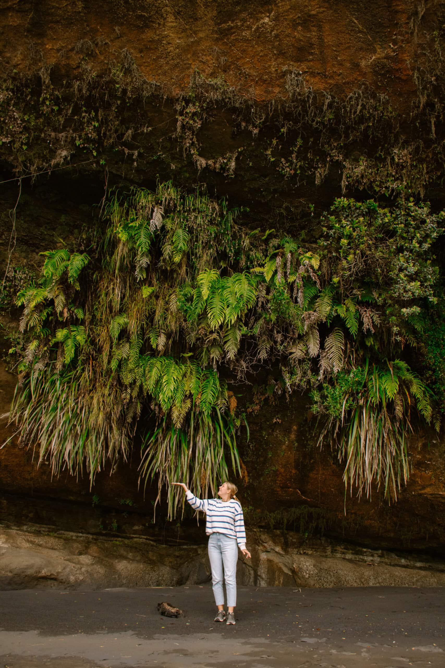 new zealand north island