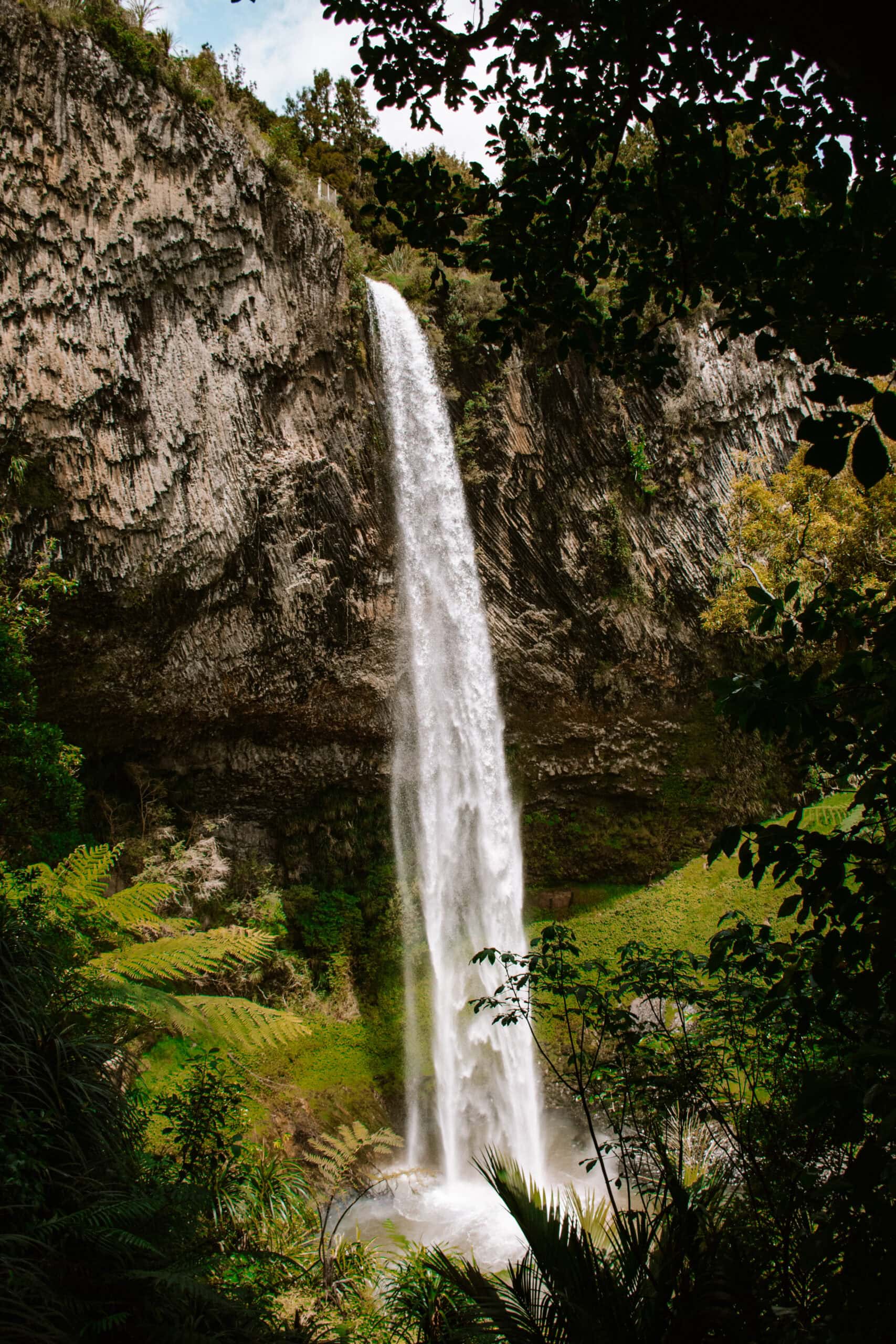 north island new zealand